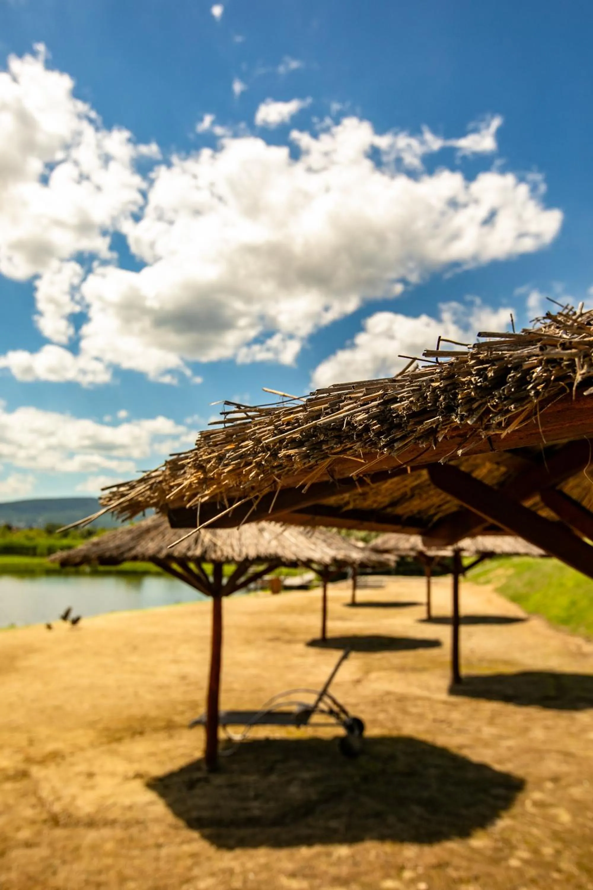 Natural landscape in Hotel Golden Palace