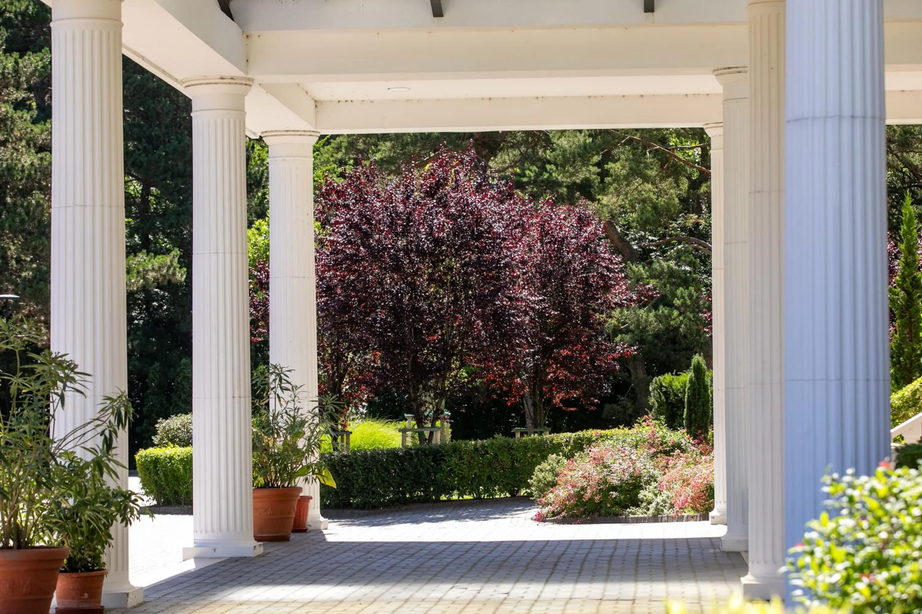 Garden in Hotel Golden Palace