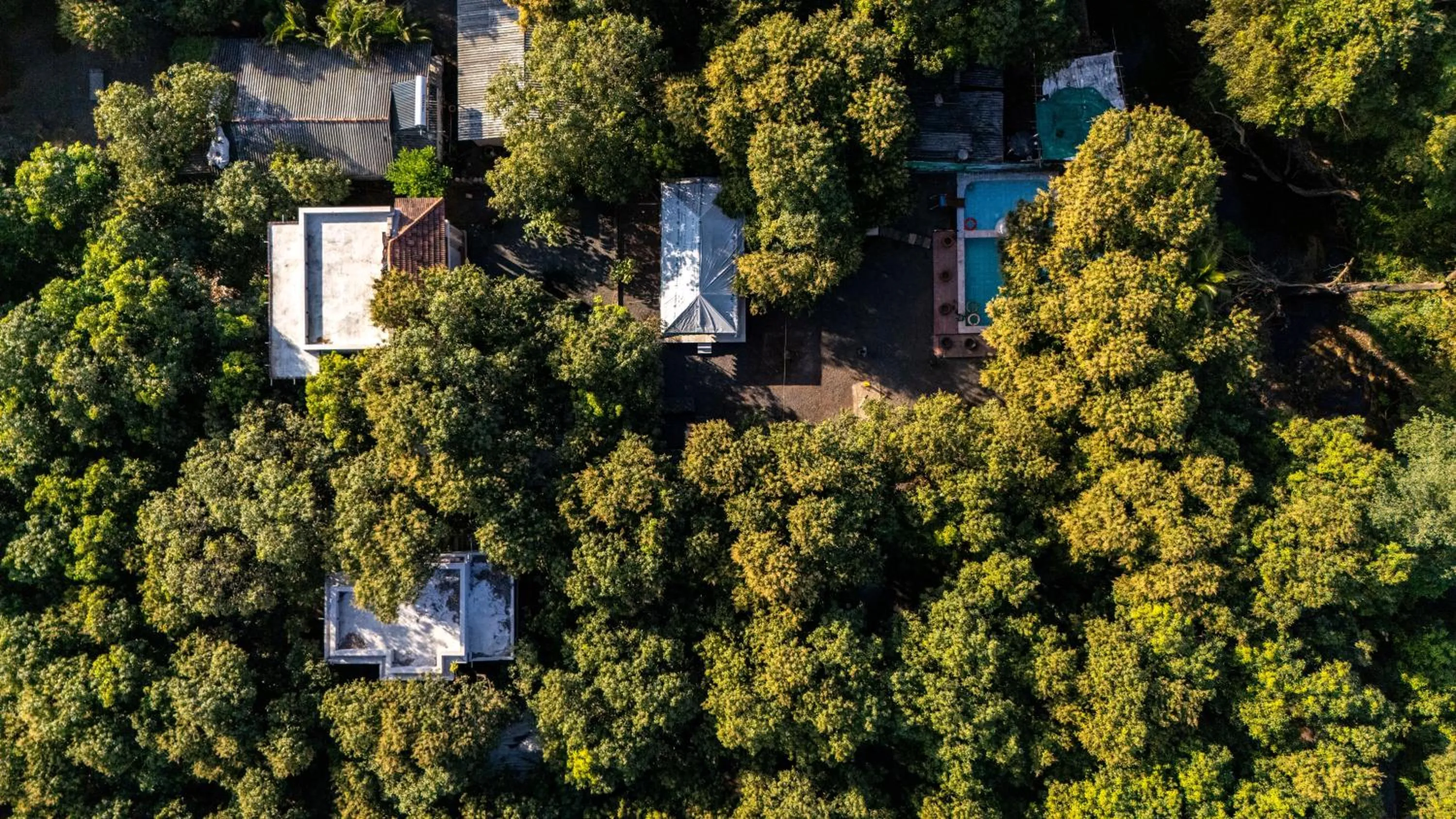 Natural landscape in Brook Ville