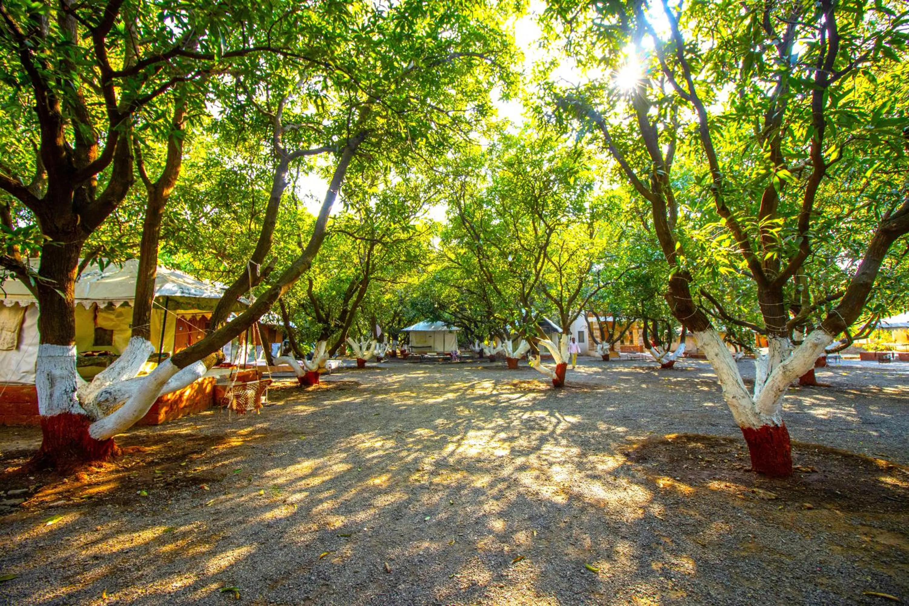 Garden in Brook Ville