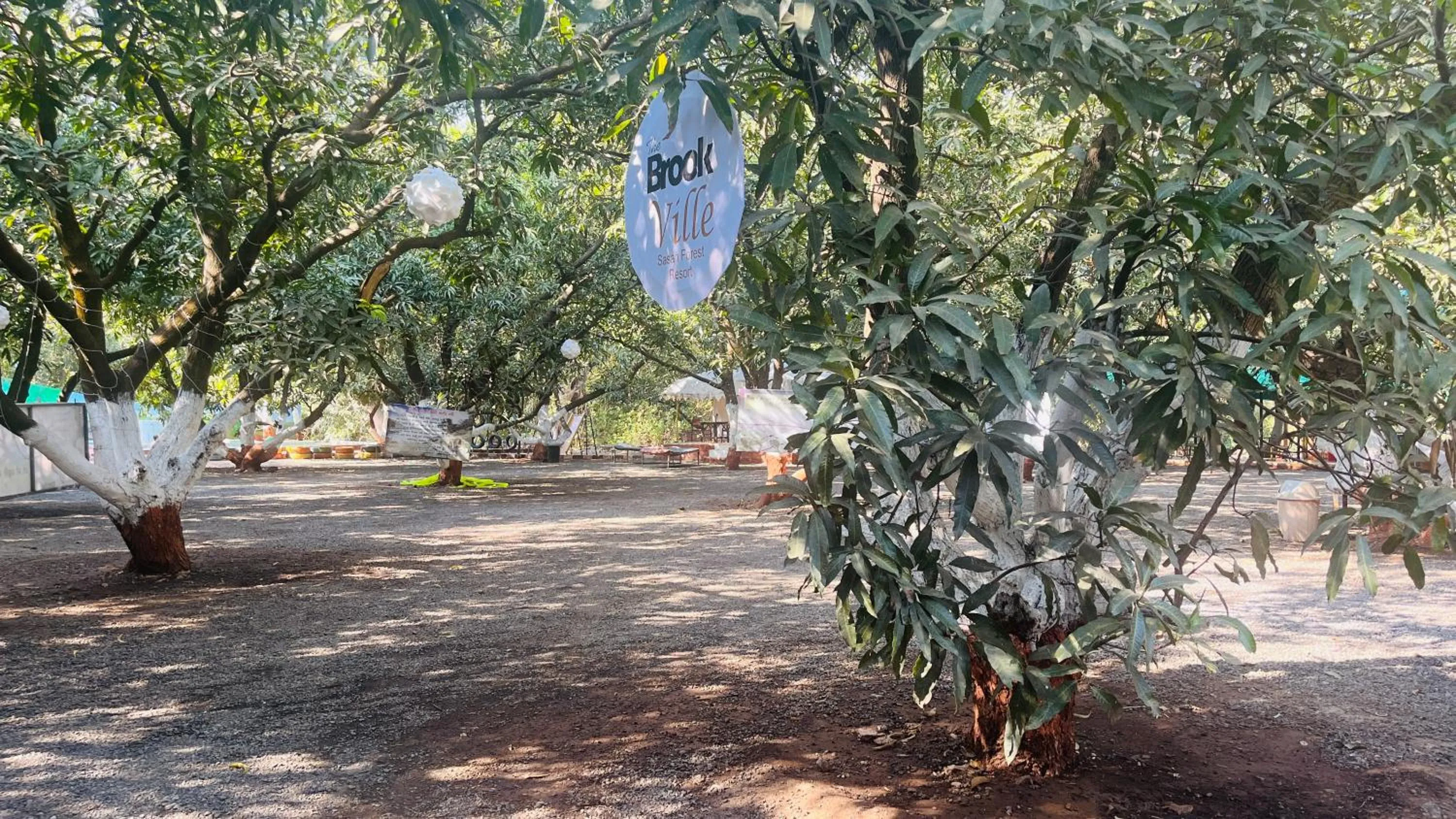 Natural landscape in Brook Ville