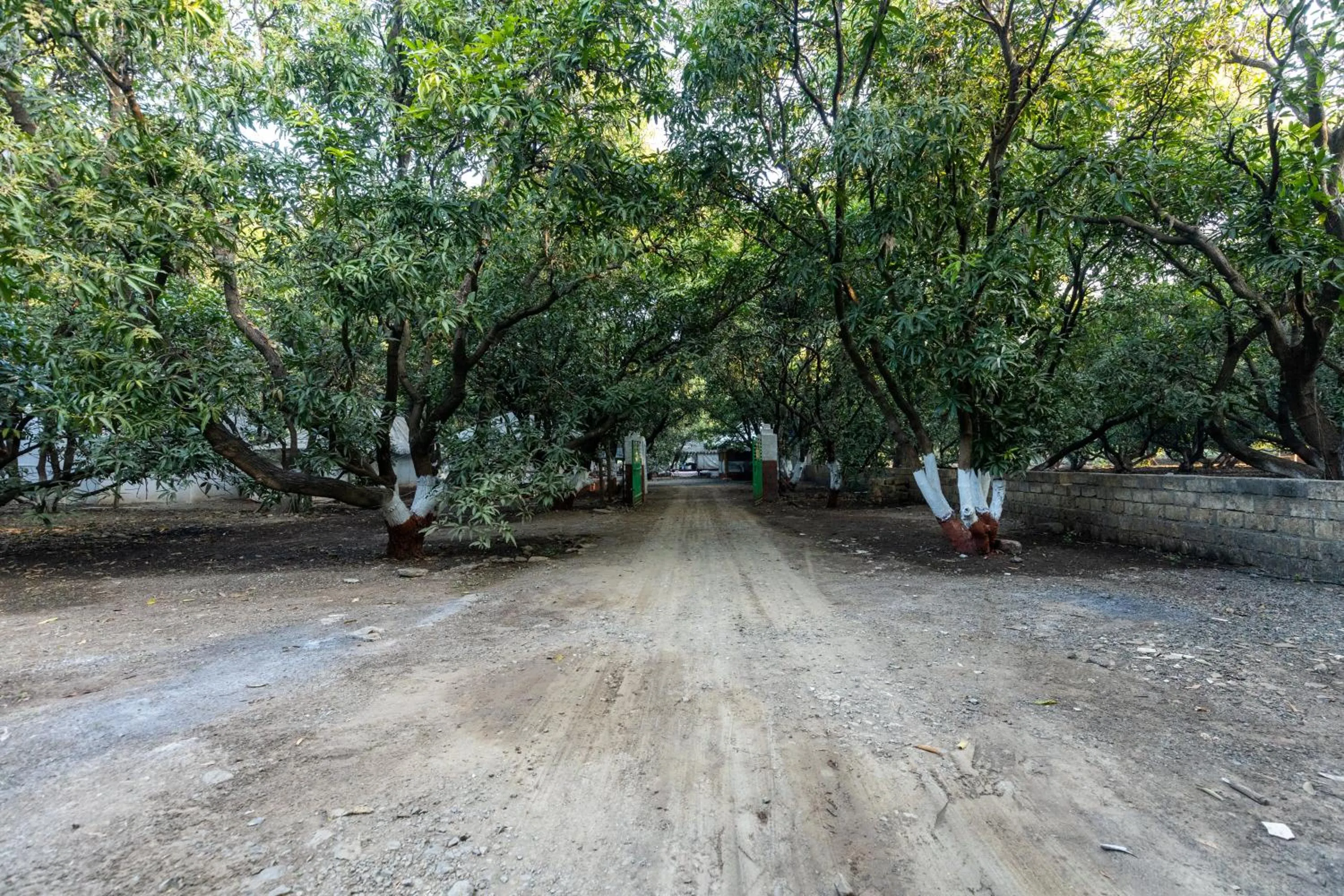 Neighbourhood in Brook Ville