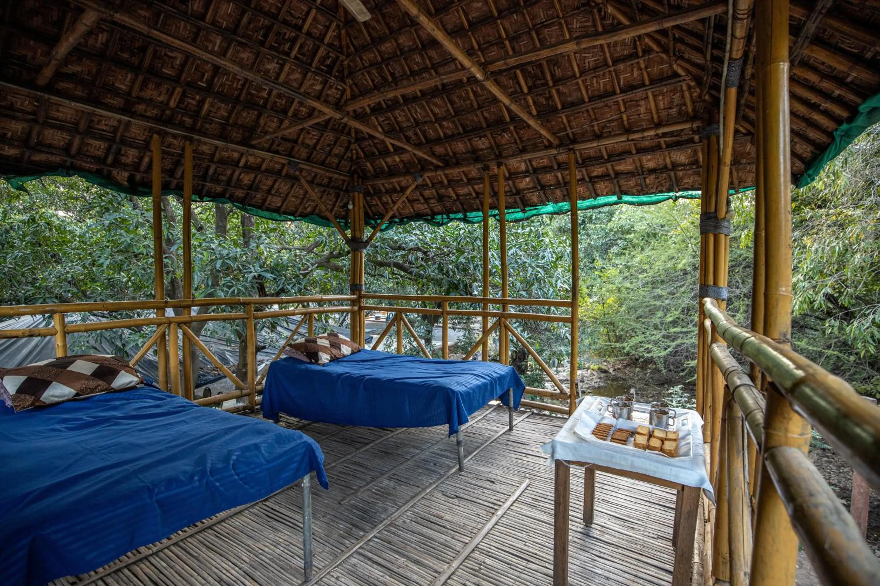 Natural landscape, Bed in Brook Ville