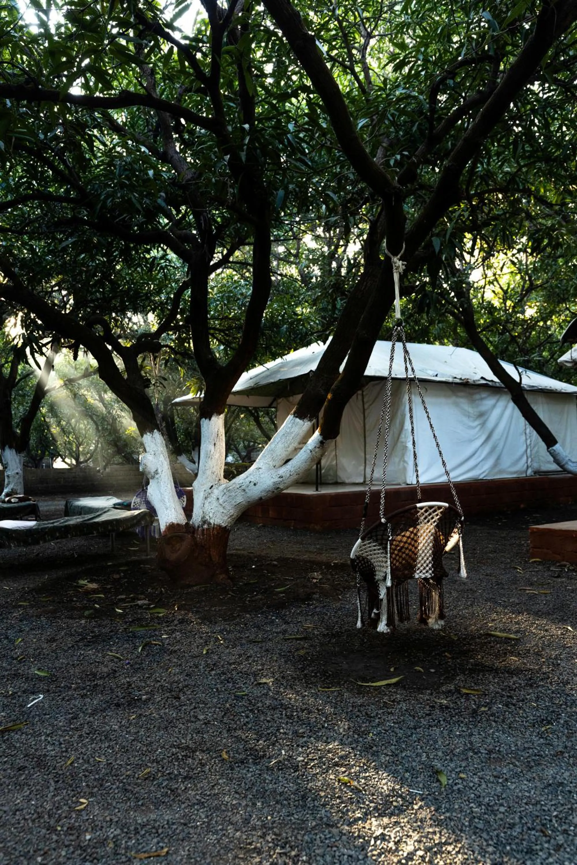 Garden in Brook Ville
