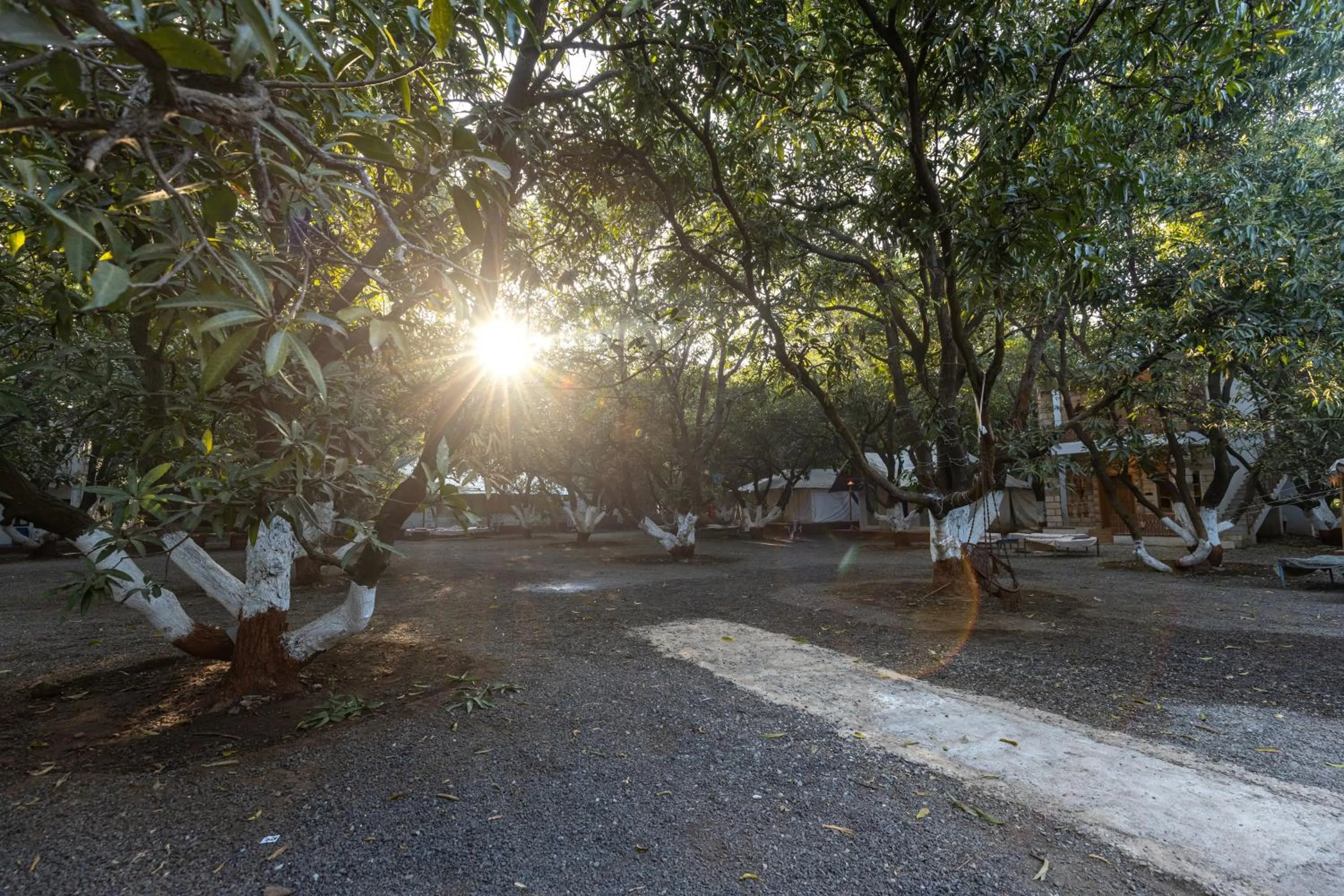 Garden view in Brook Ville