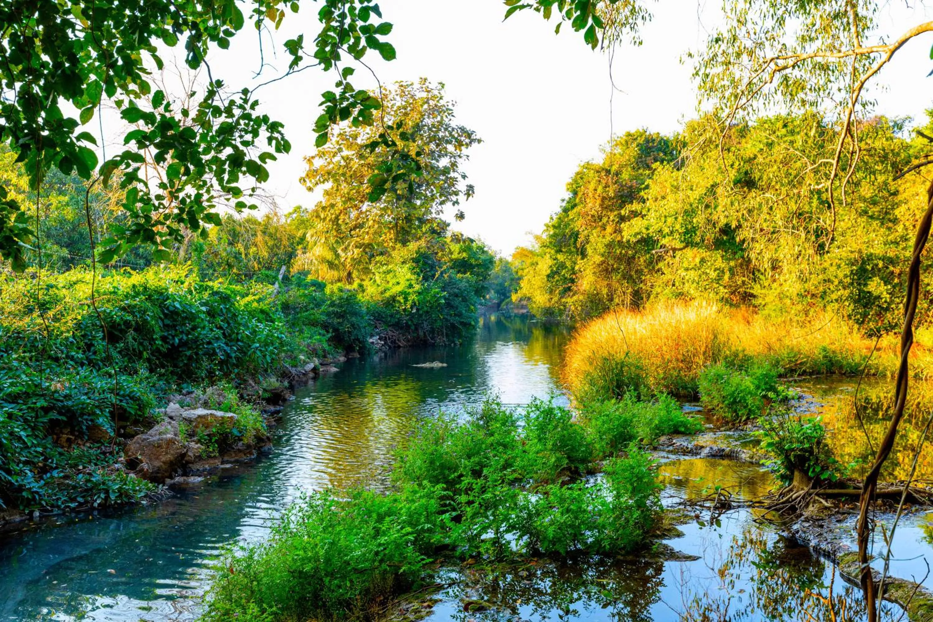 Lake view in Brook Ville