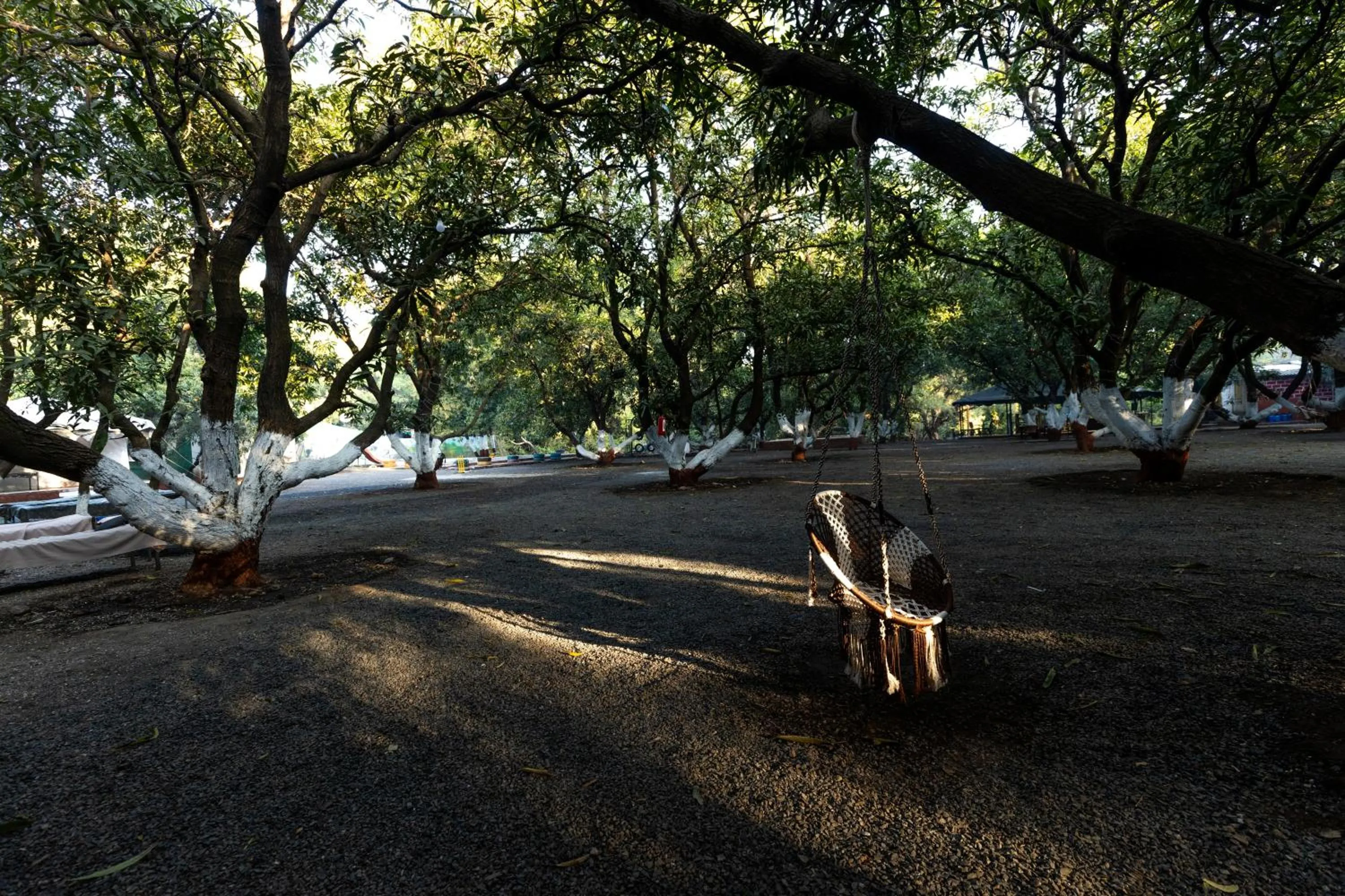 Spring in Brook Ville