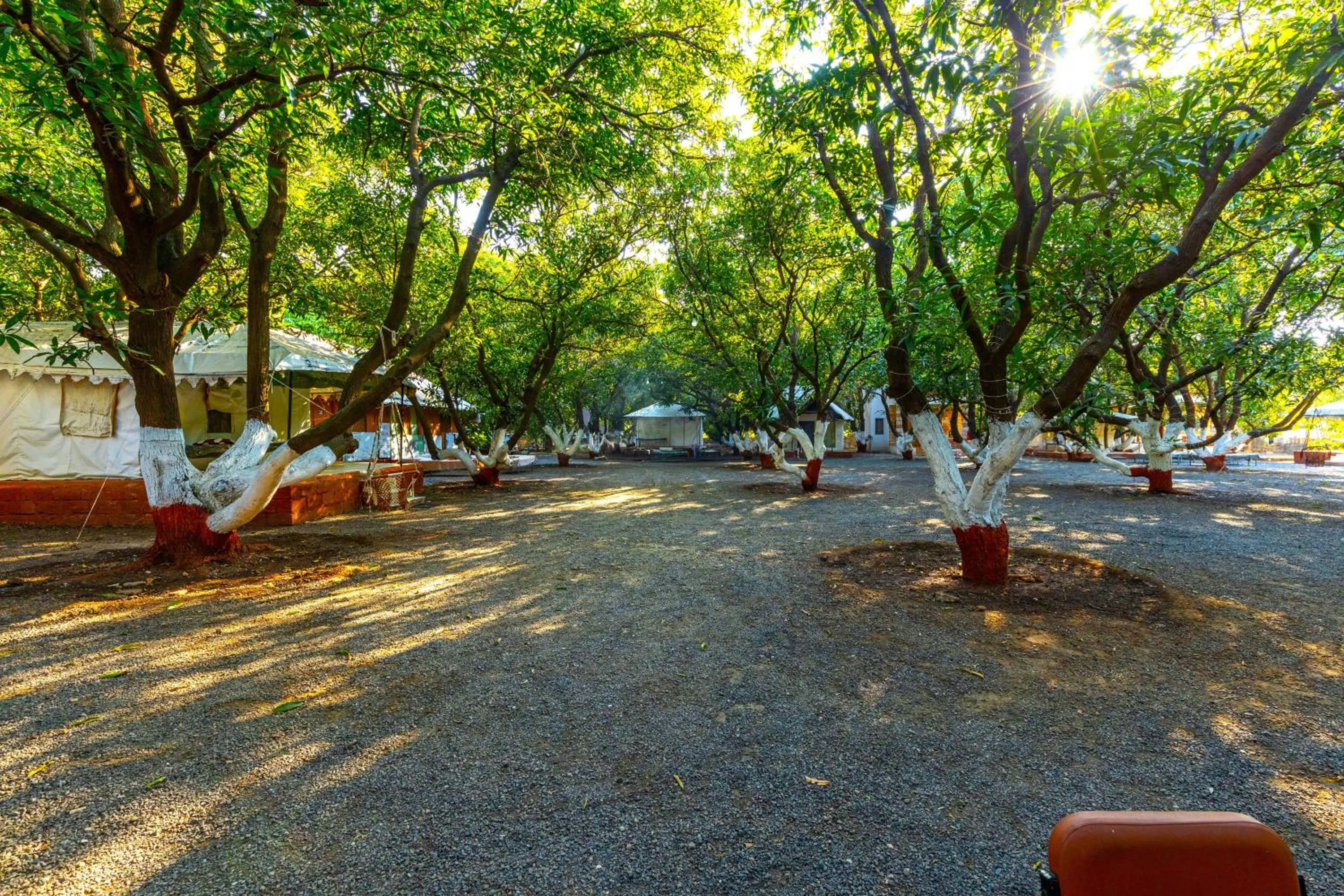 Natural landscape in Brook Ville