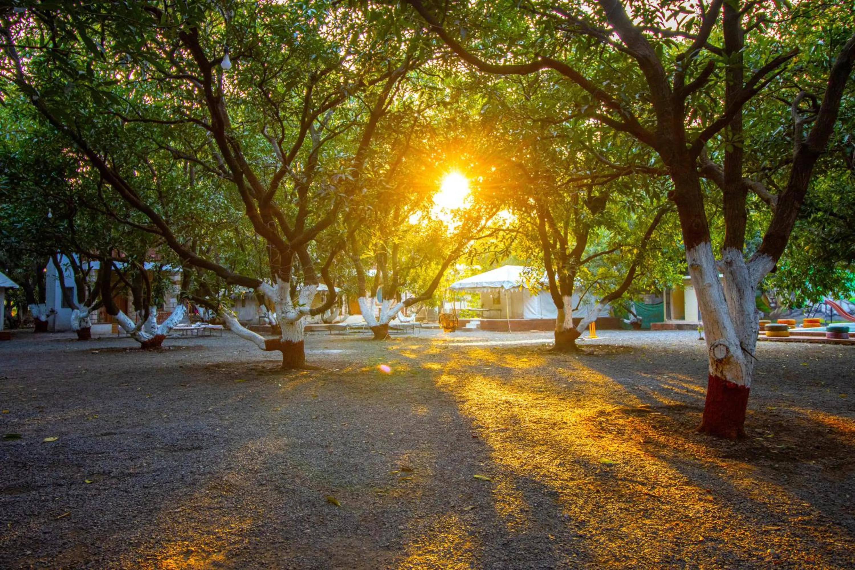 Natural landscape in Brook Ville