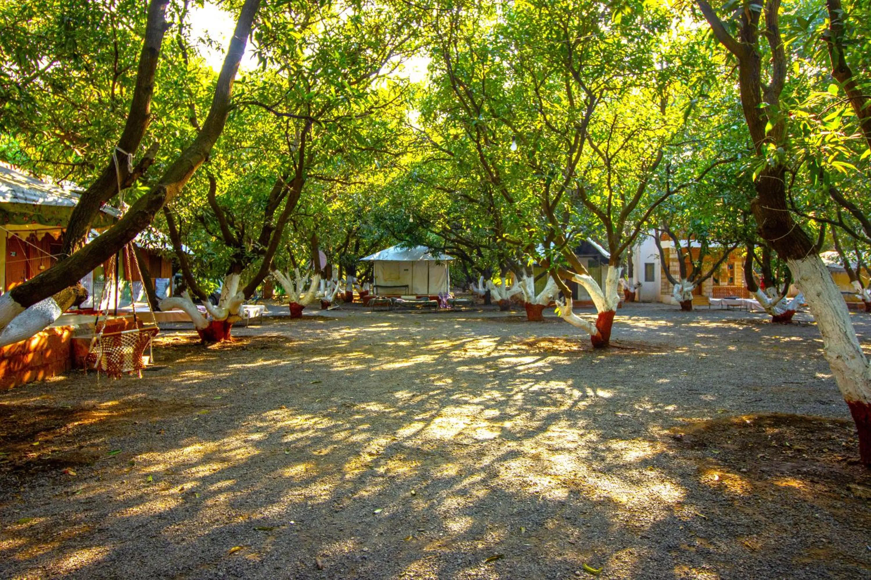 Garden in Brook Ville