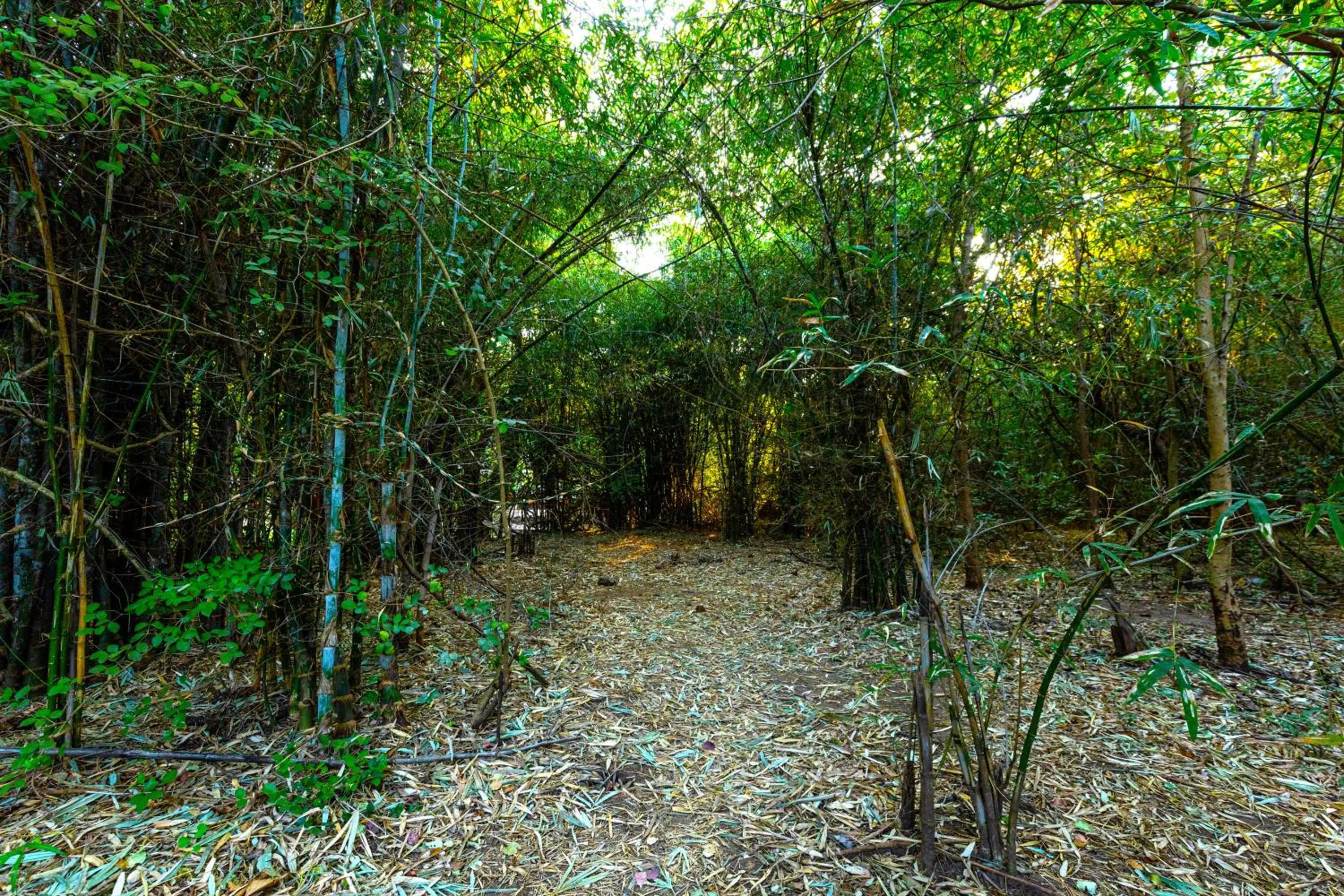 Garden in Brook Ville