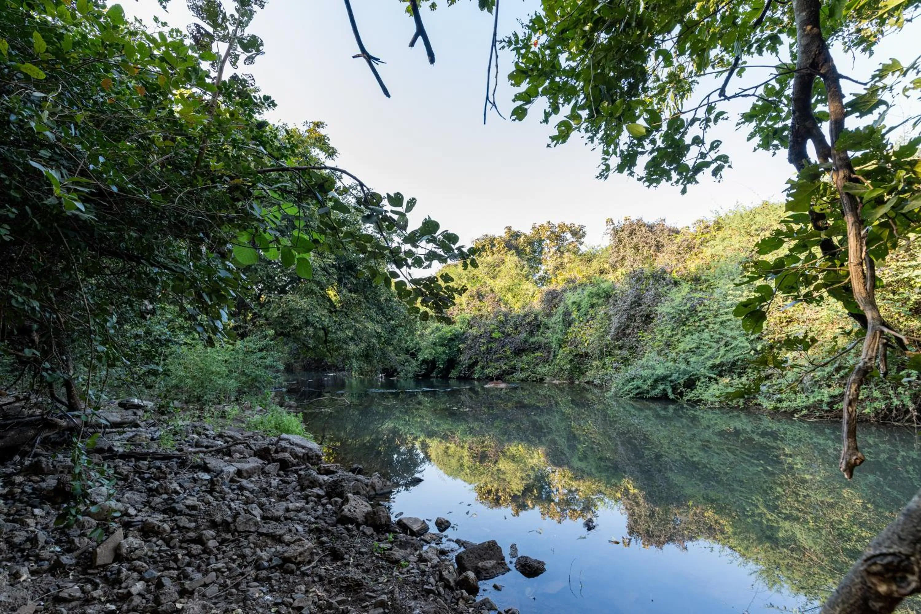 Spring in Brook Ville