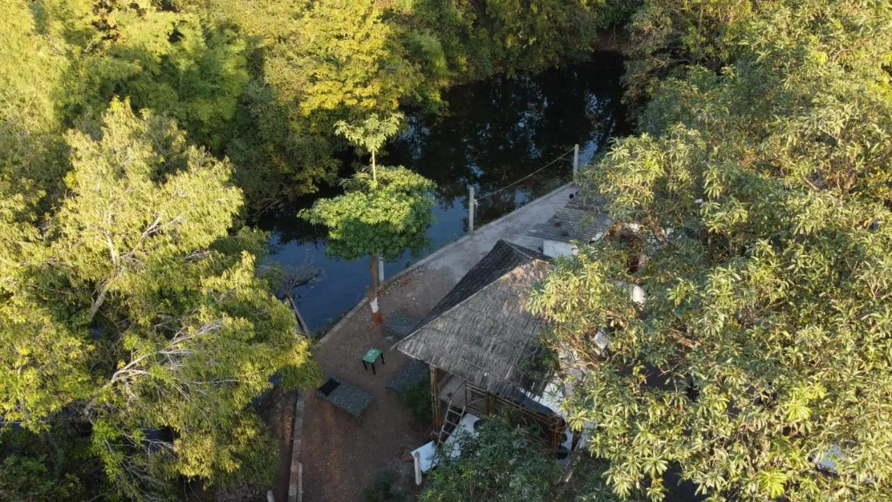 Spring in Brook Ville