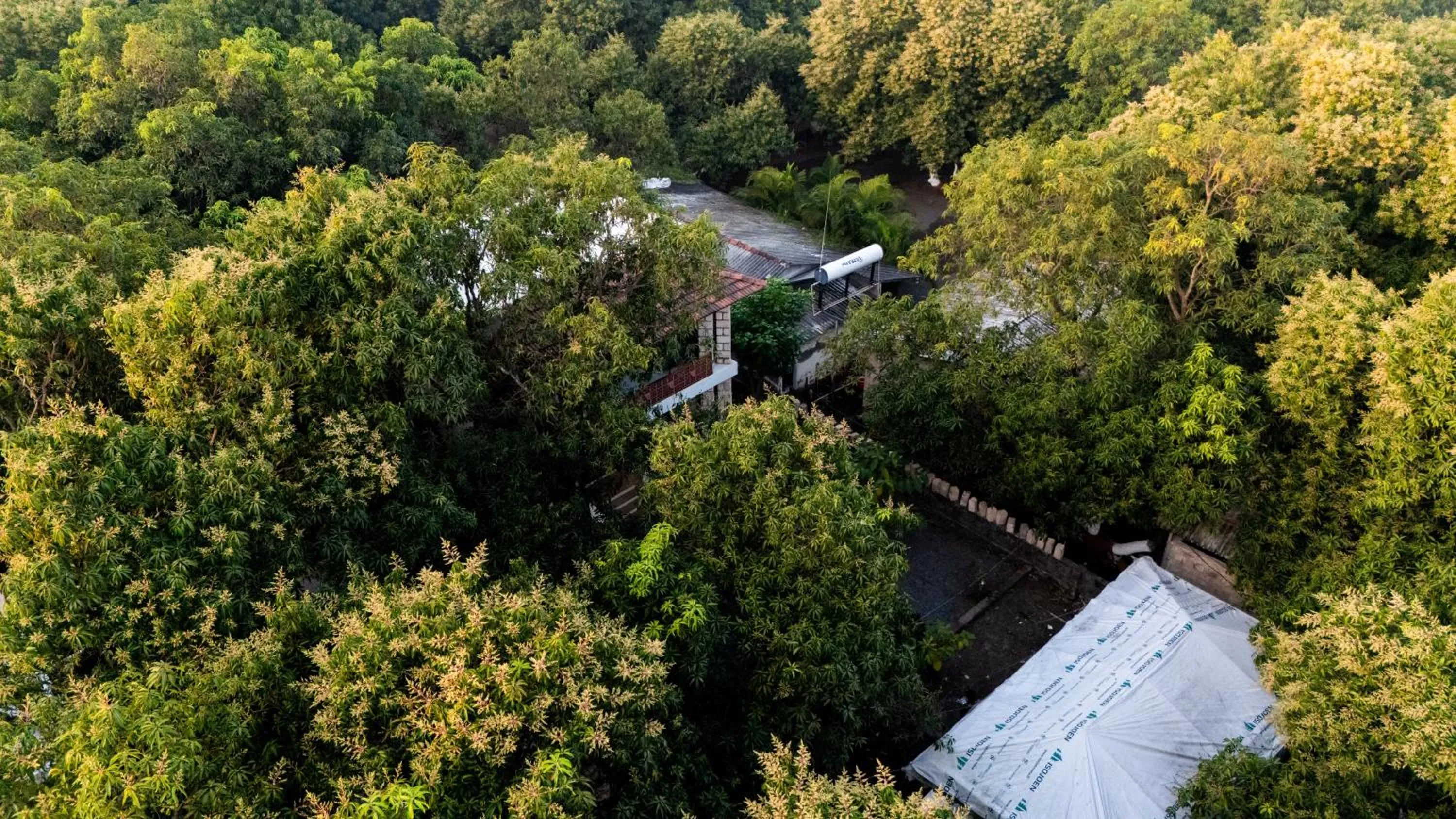 Natural landscape in Brook Ville