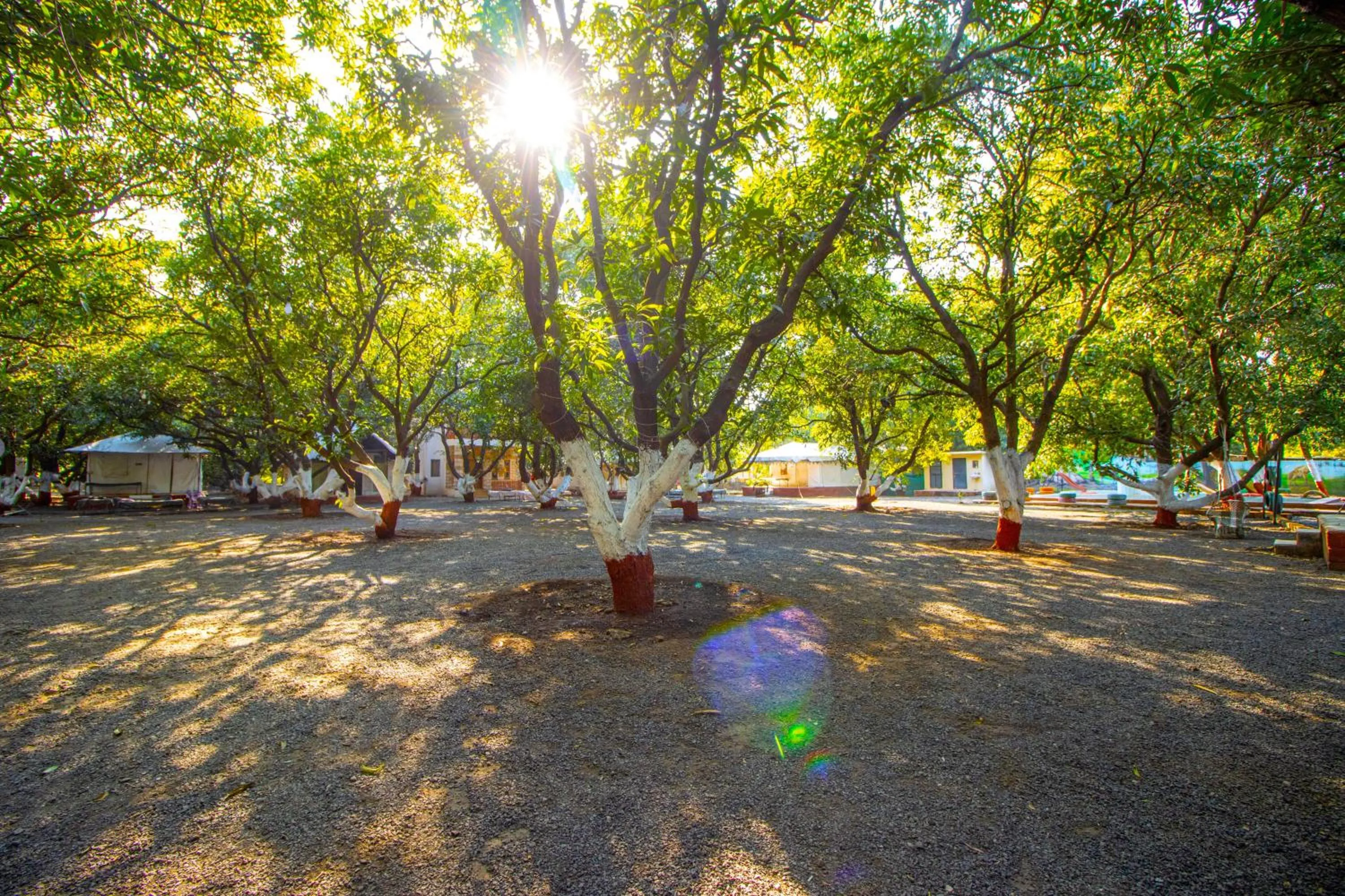 Garden in Brook Ville