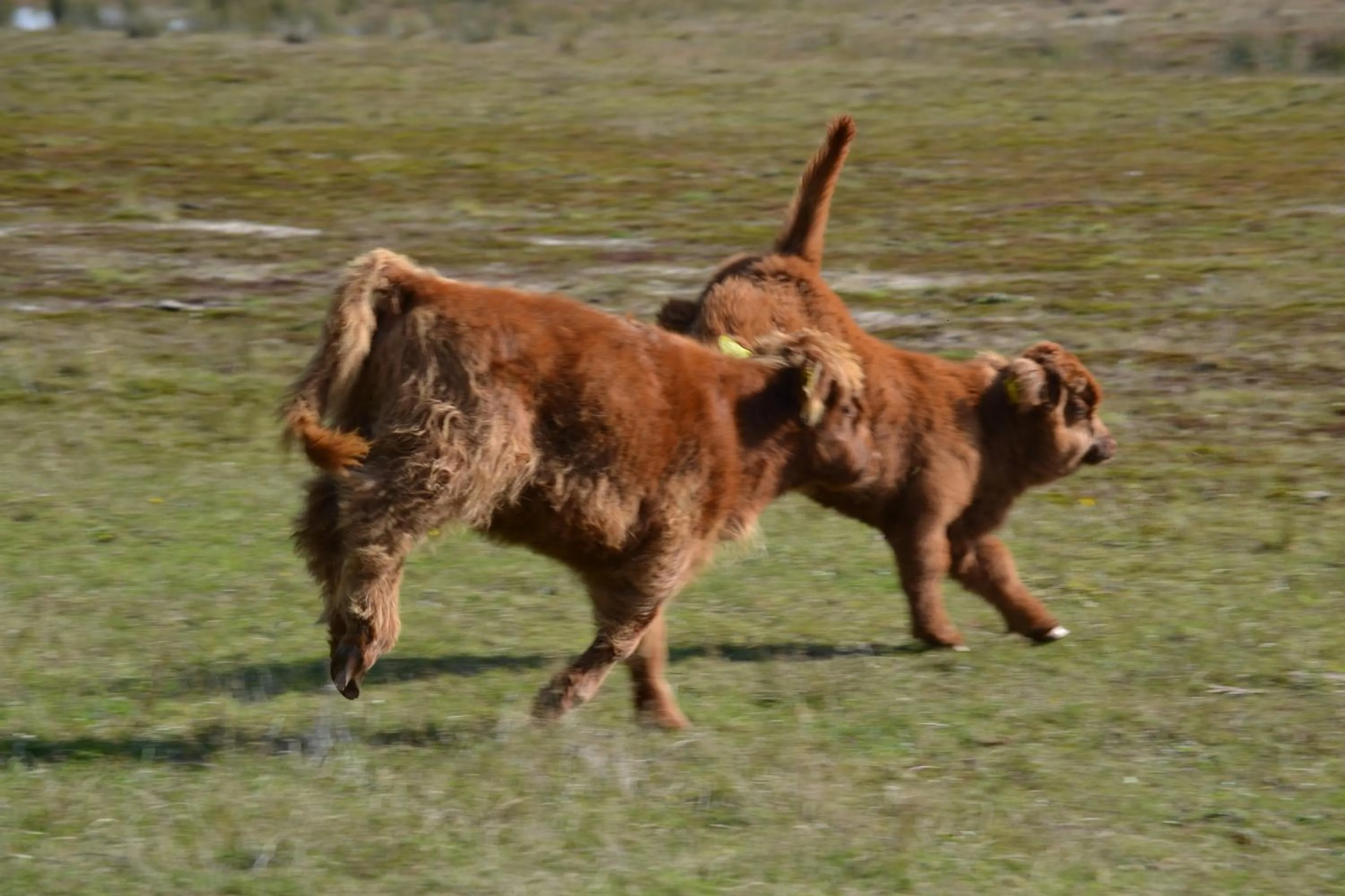 Other in Auberge De Moerse Hoeve