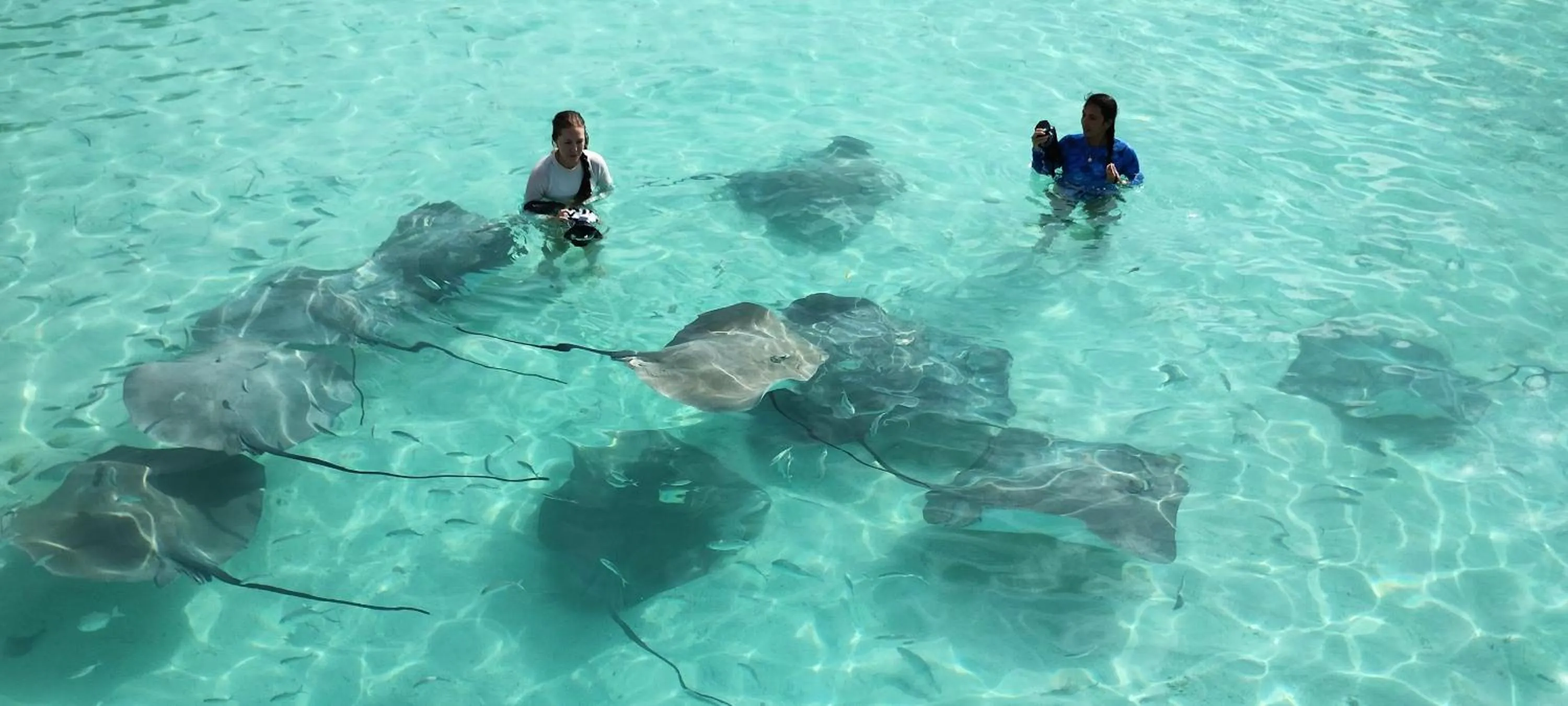 Day in Madi Grand Maldives