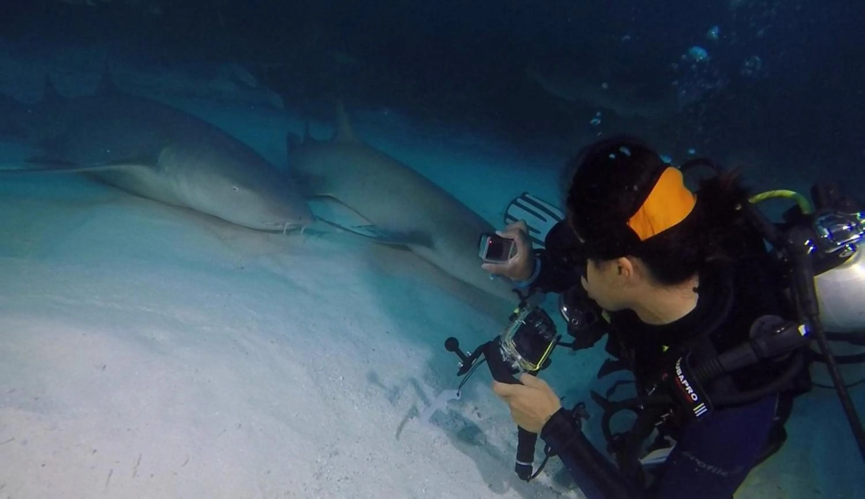 Activities in Madi Grand Maldives