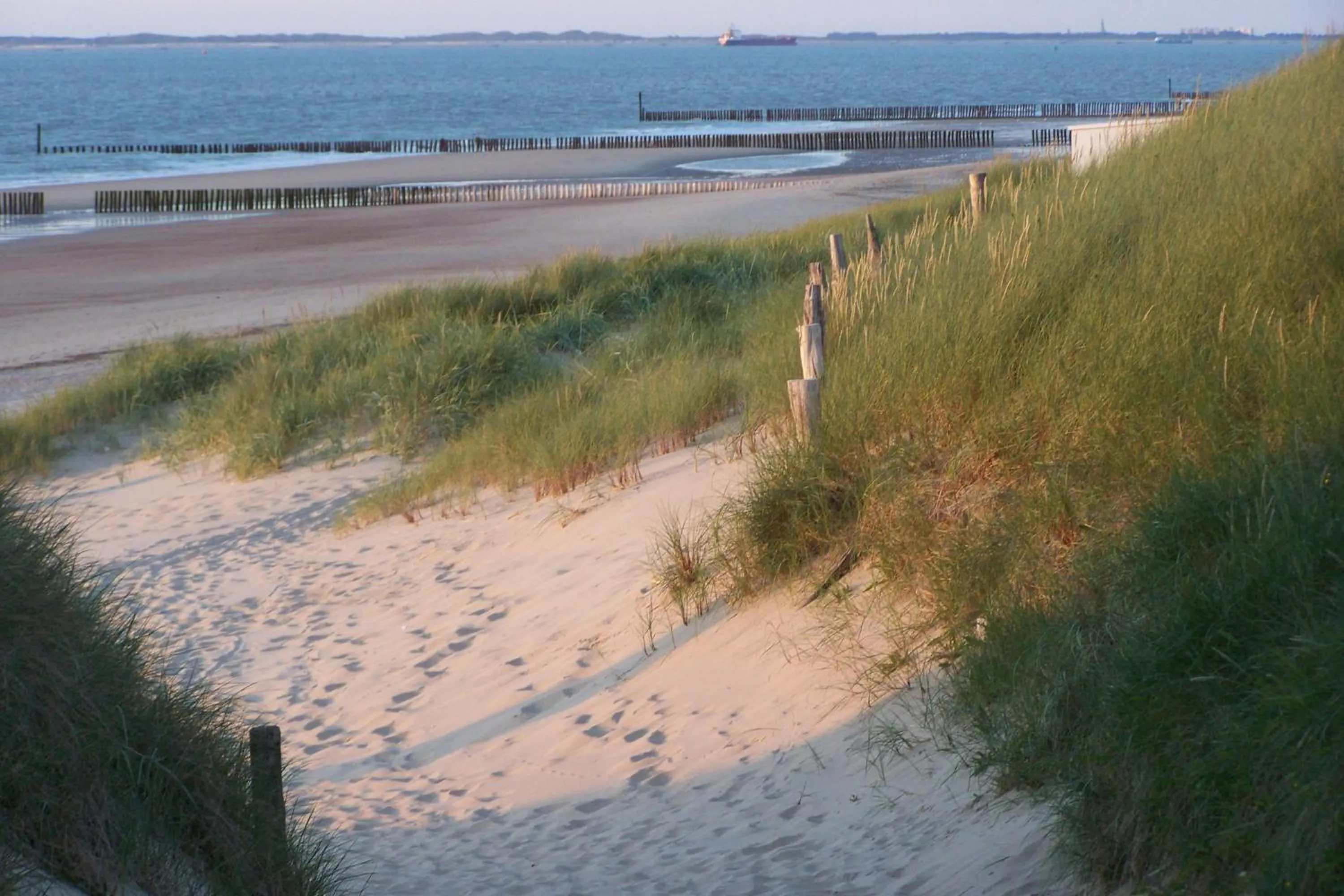 Natural landscape in Hotel de Schelde