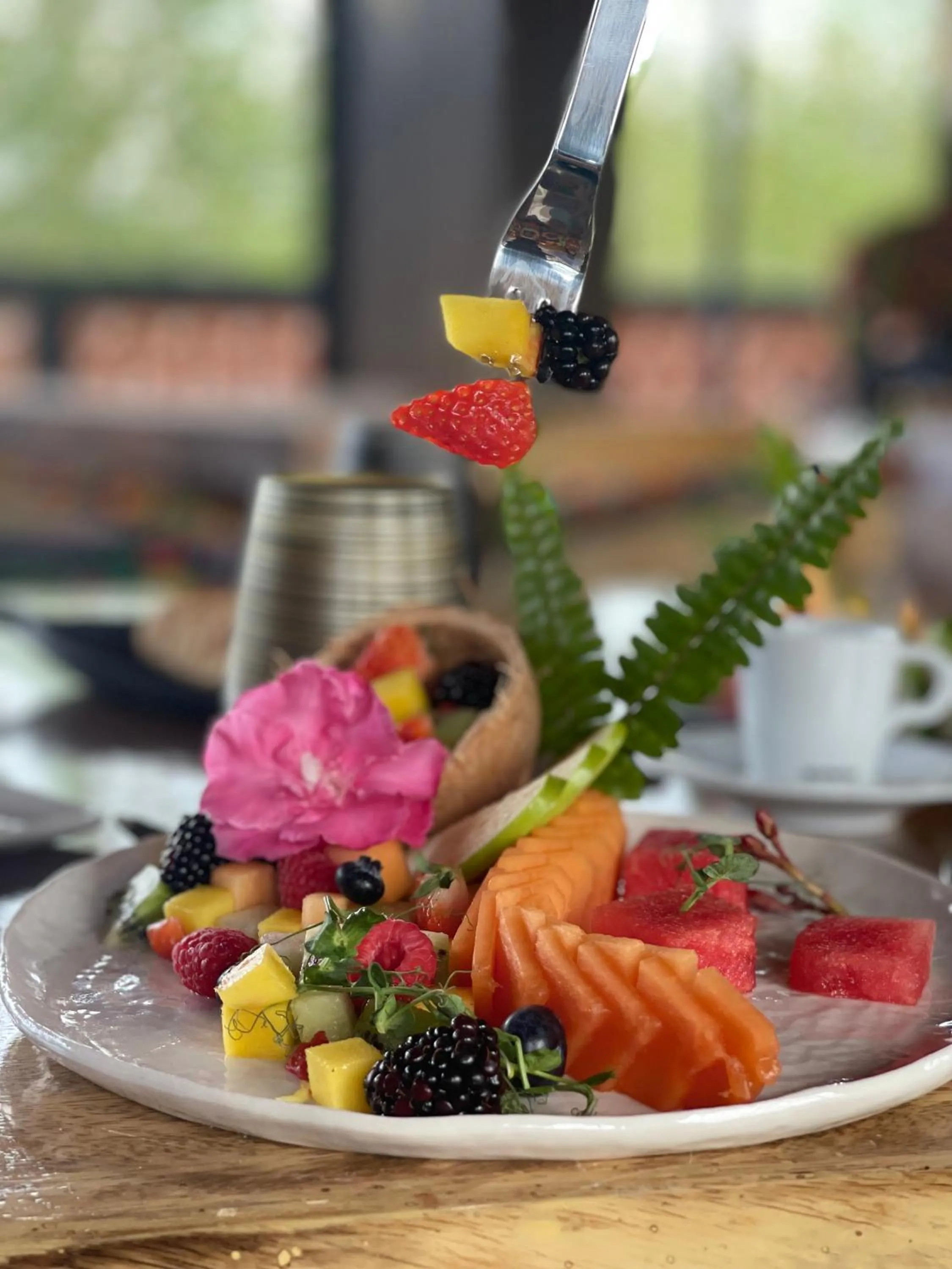 Breakfast in Akuazul Resorts Adults Only