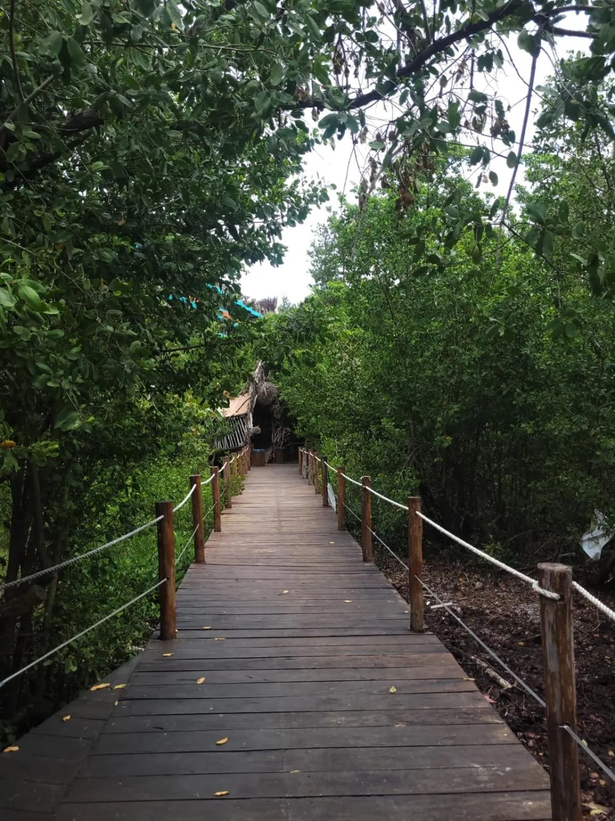 Off site in Akuazul Resorts Adults Only