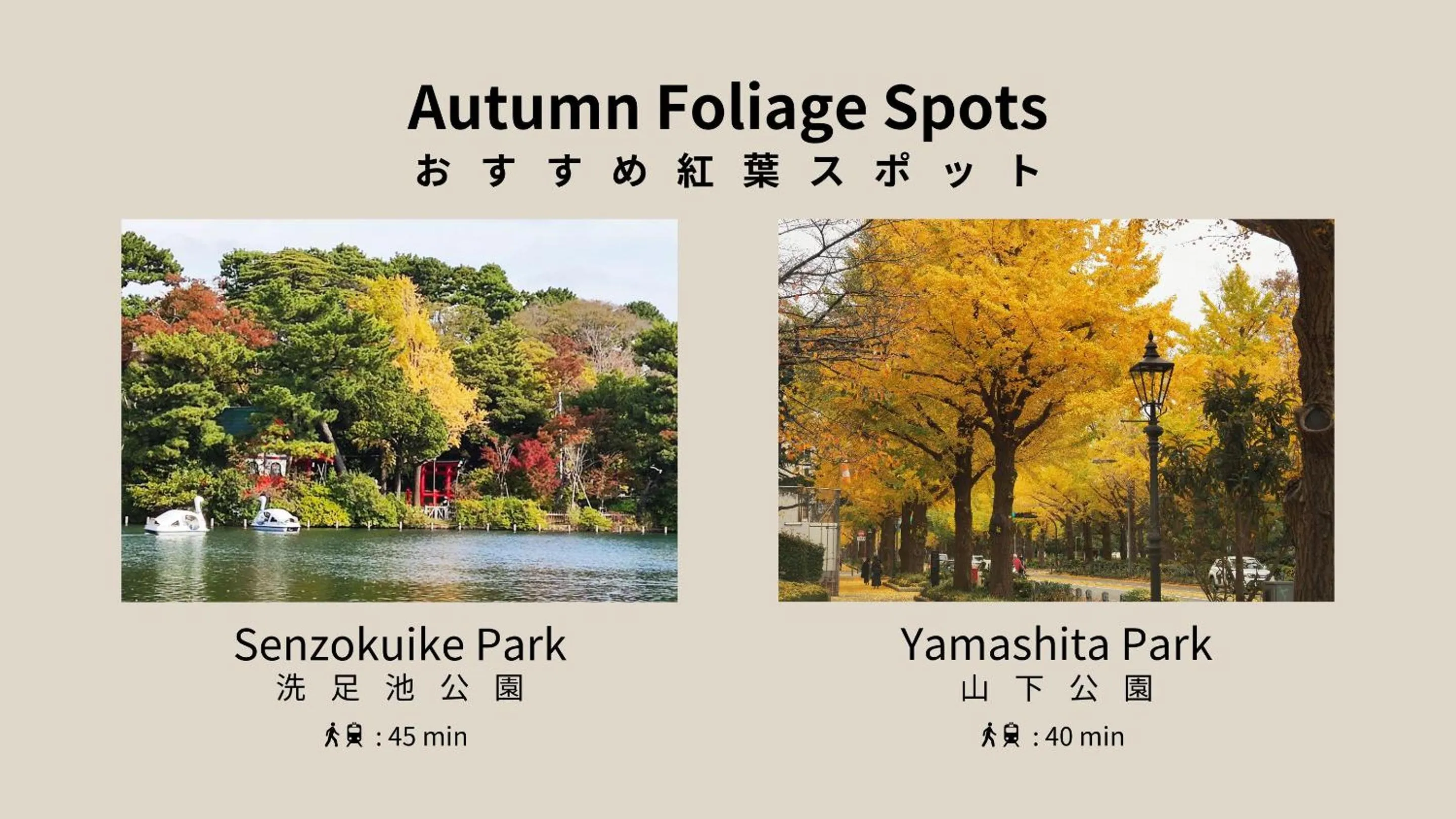 Nearby landmark in MINI HOUSE Tokyo South