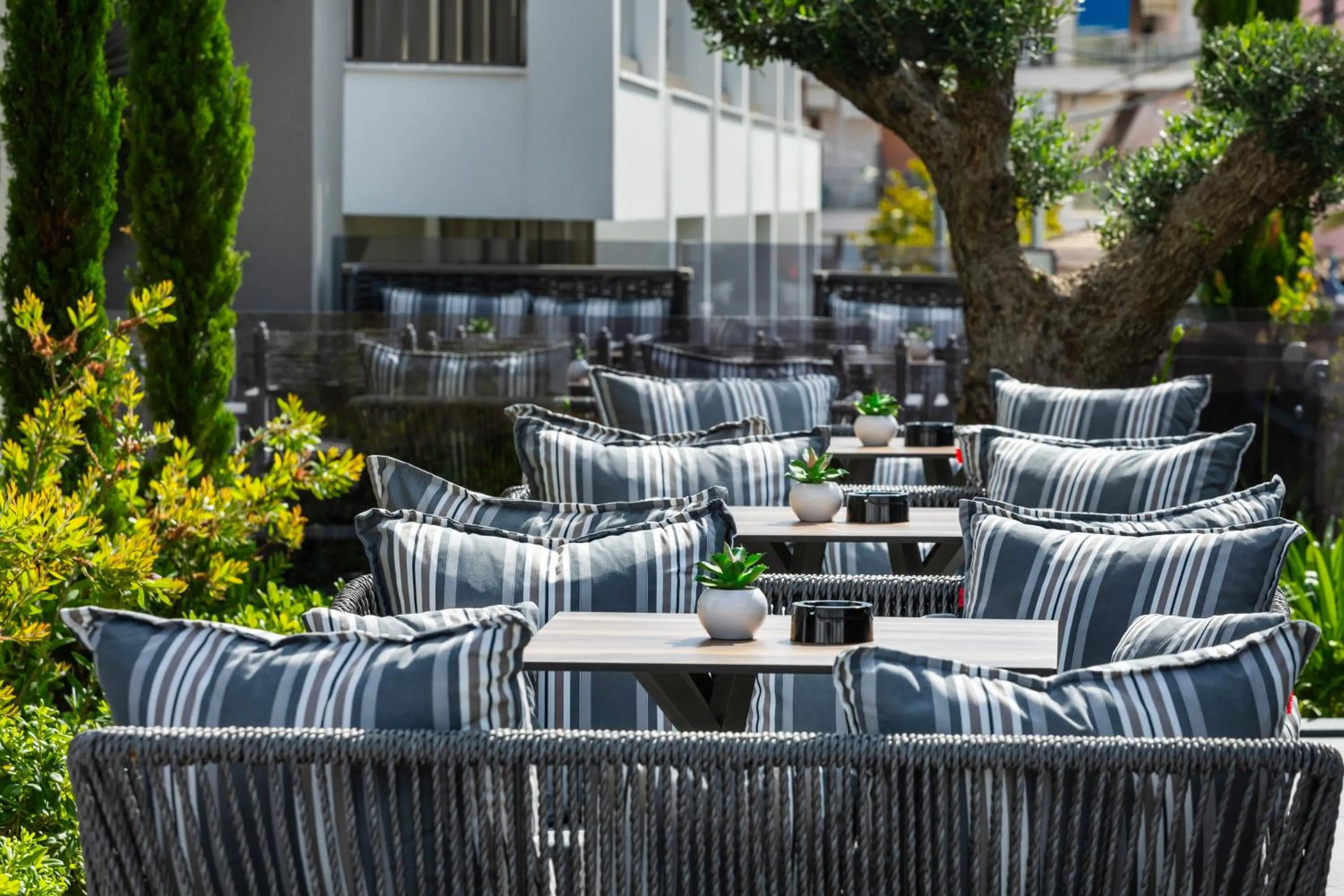 Seating area in Luuks Luxury Accommodation
