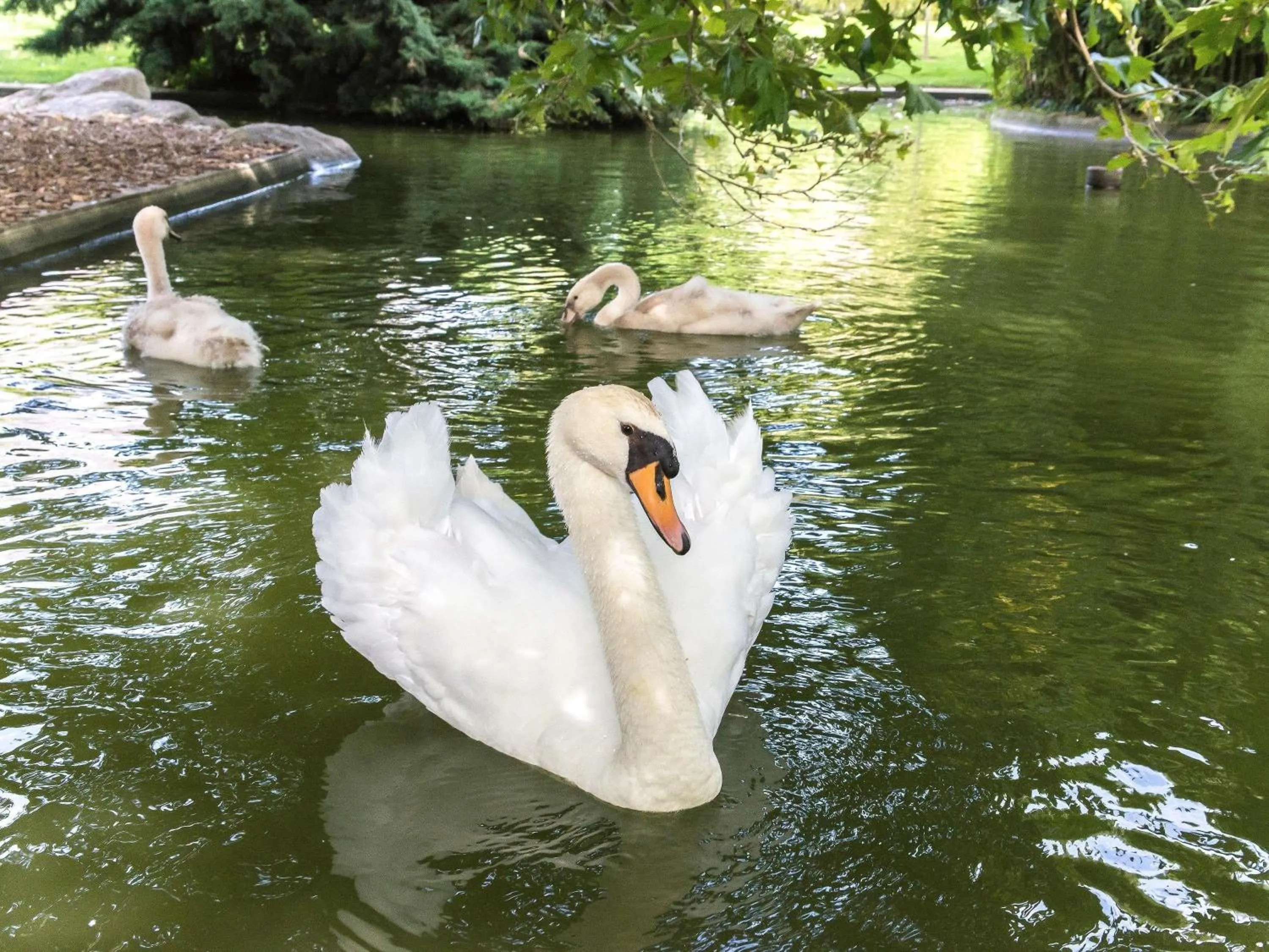 Golfcourse in Ibis Budget Angers Parc des Expositions