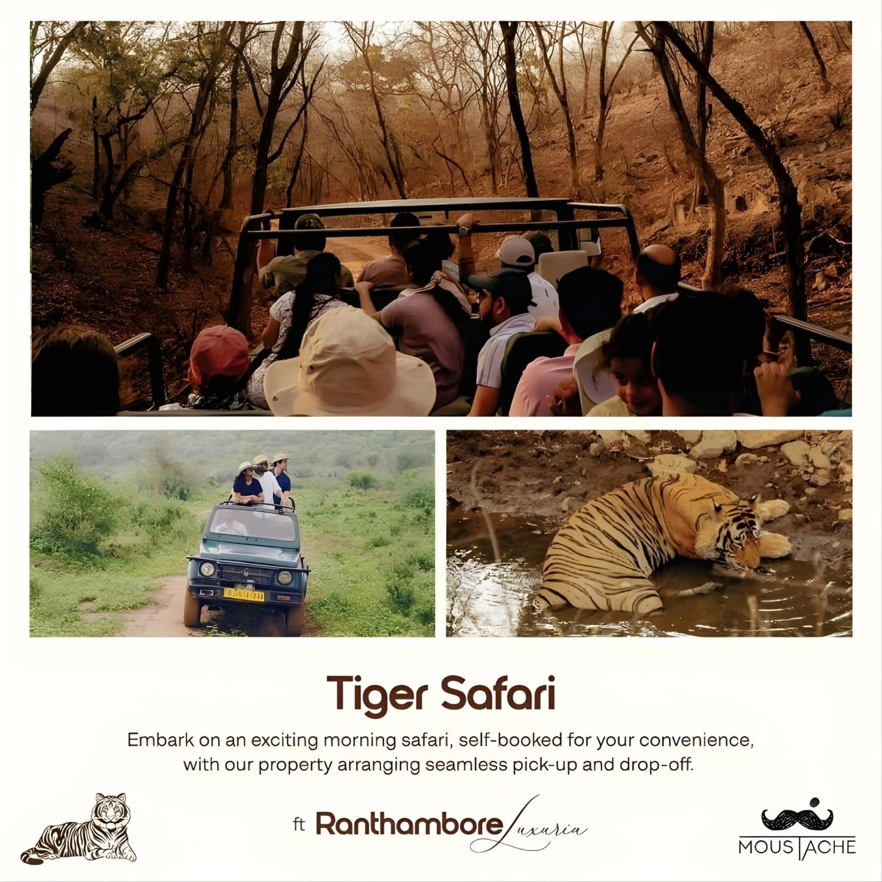Activities in Moustache Ranthambore Luxuria
