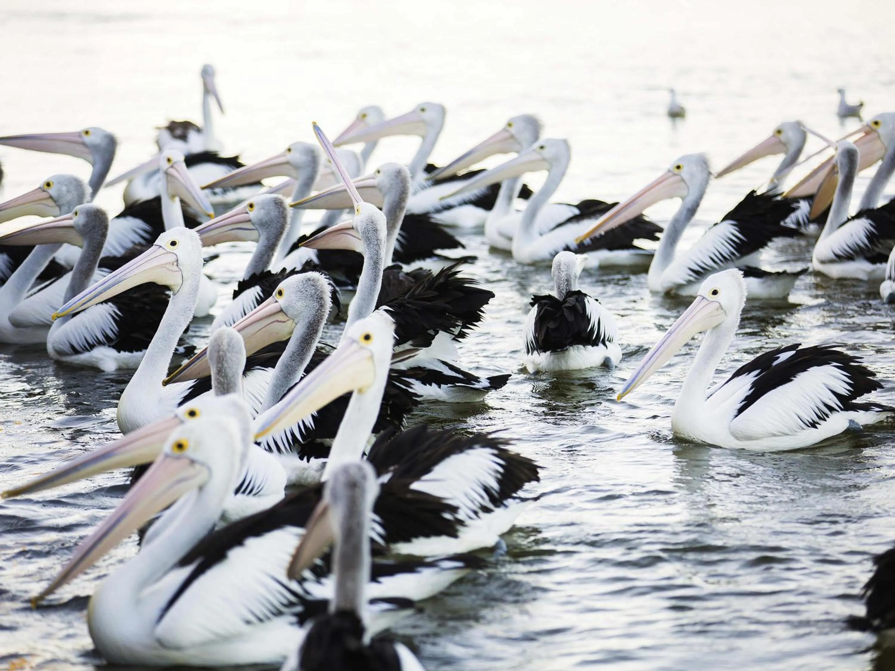 Other in Ibis Styles The Entrance