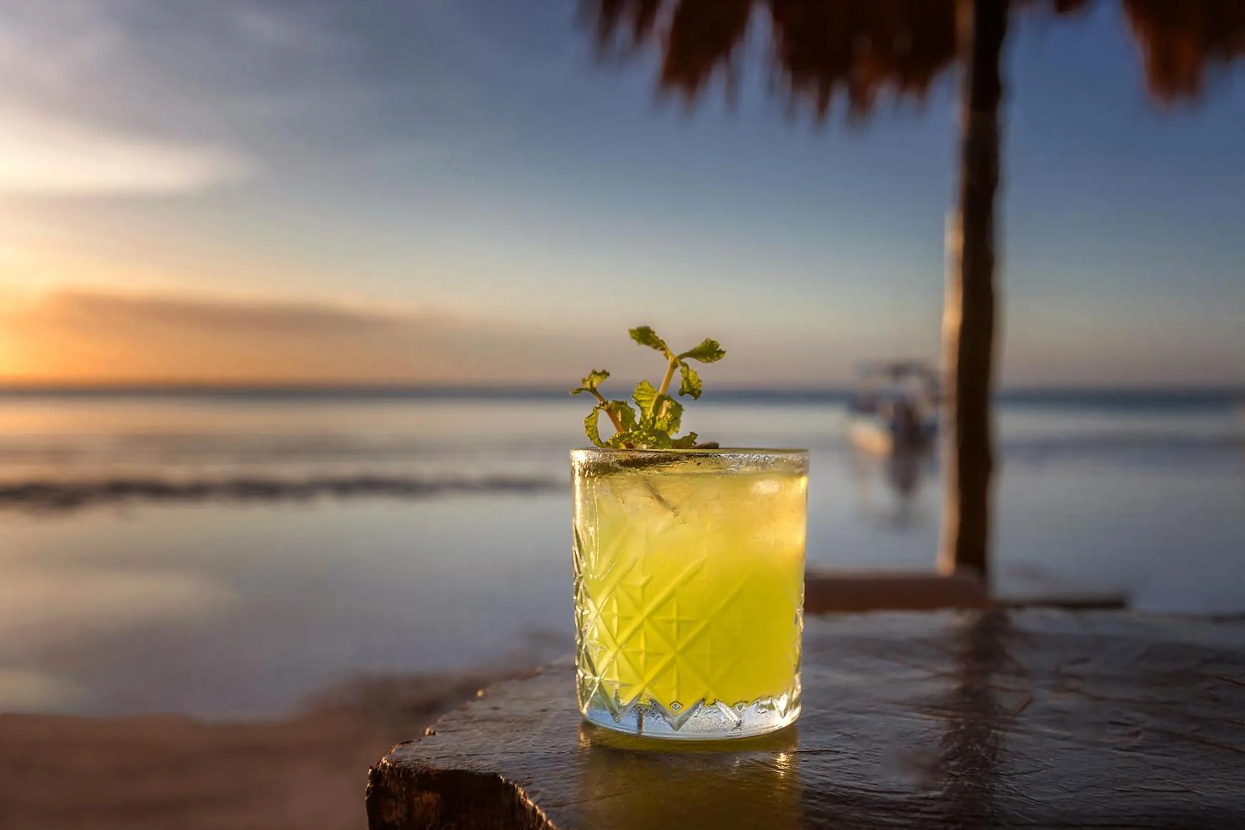 Restaurant/places to eat in Beachfront Hotel La Palapa - Adults Only