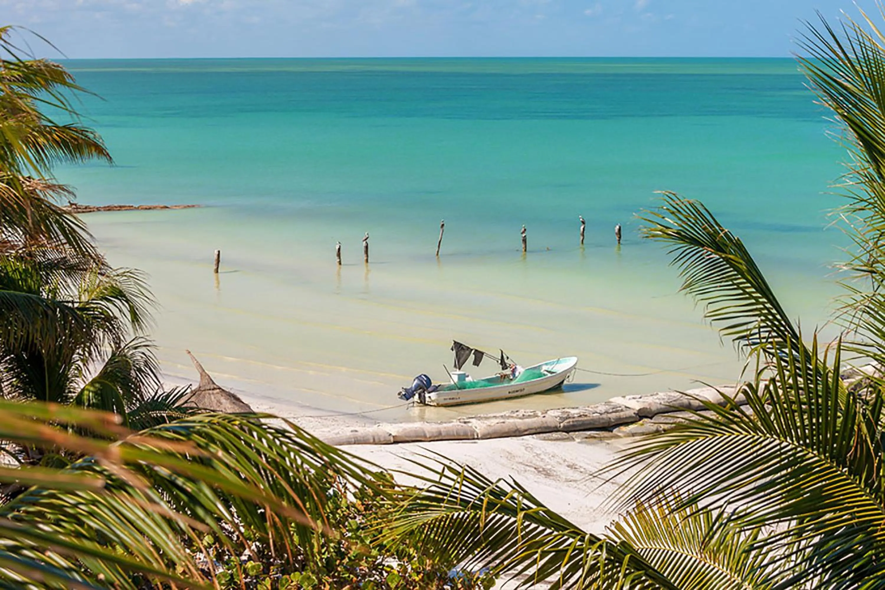 View (from property/room) in Beachfront Hotel La Palapa - Adults Only