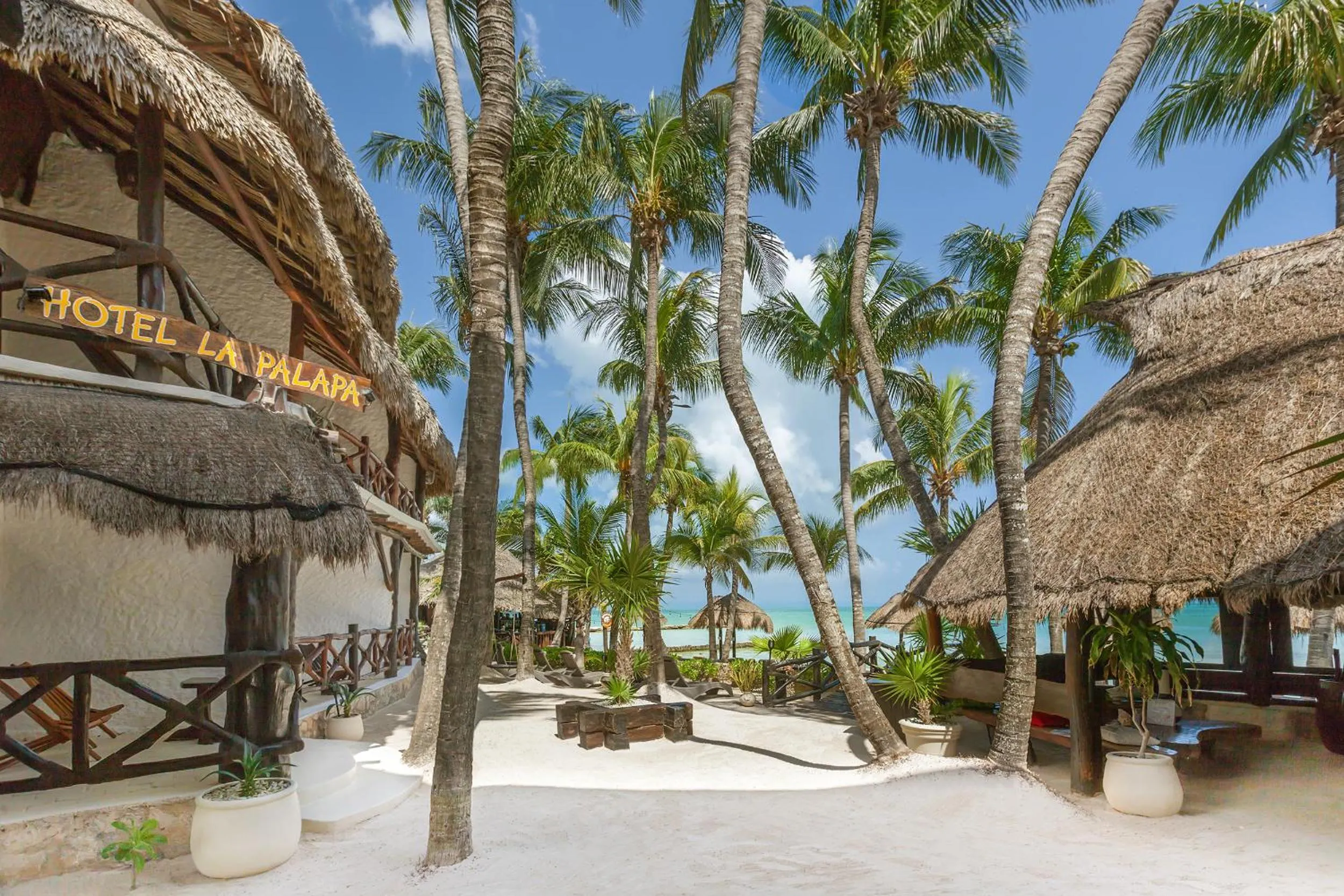 Day in Beachfront Hotel La Palapa - Adults Only