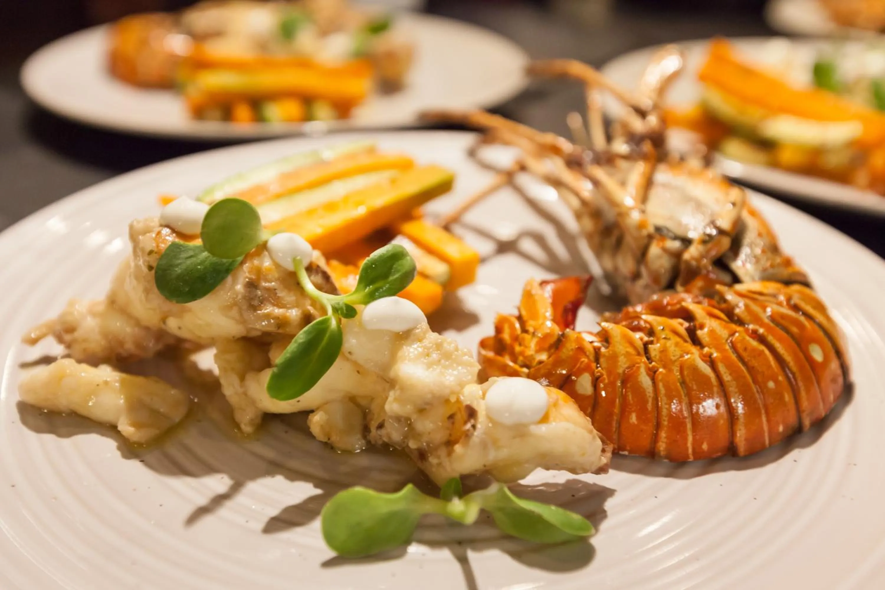 Restaurant/places to eat in Beachfront Hotel La Palapa - Adults Only