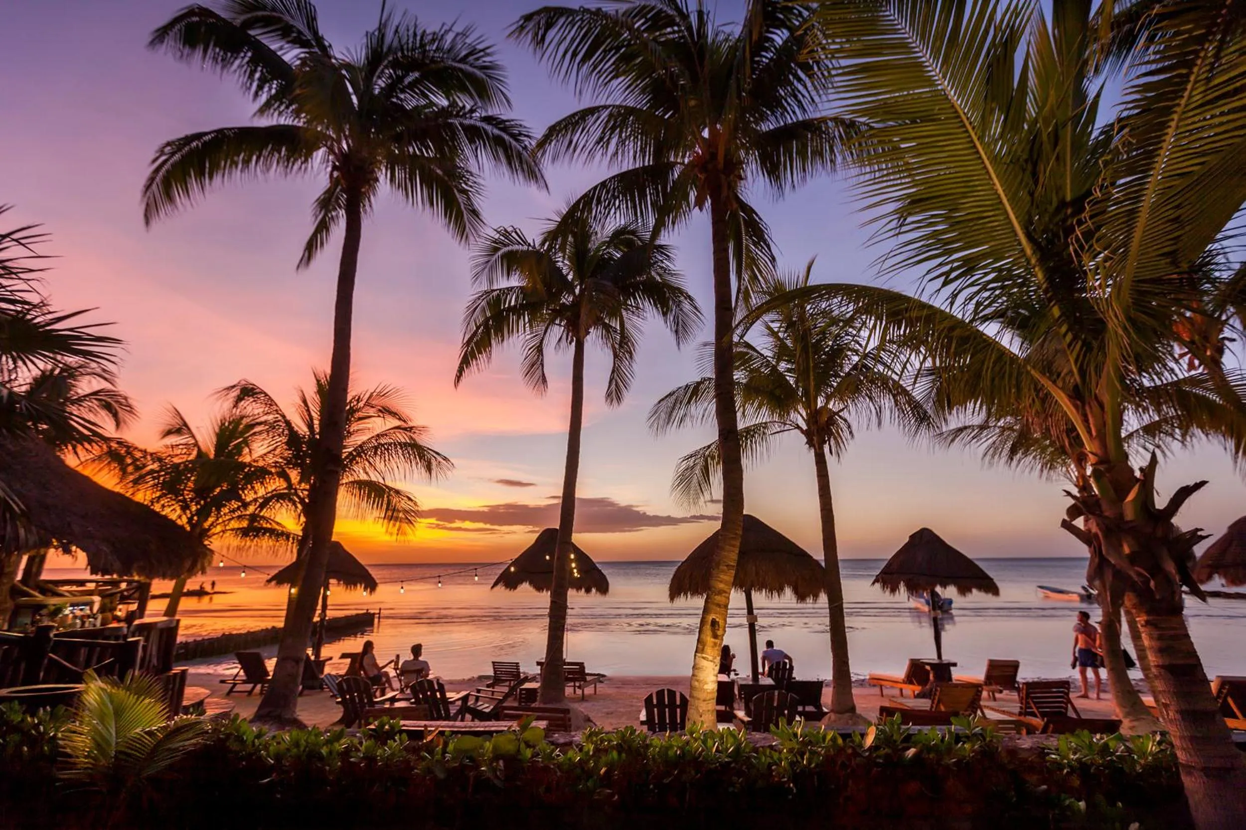 Beach in Beachfront Hotel La Palapa - Adults Only