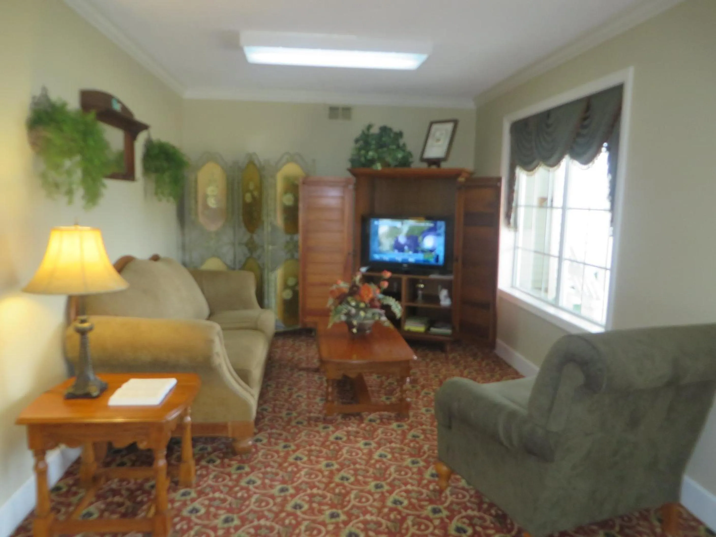 Communal lounge/ TV room in Honeysuckle Inn