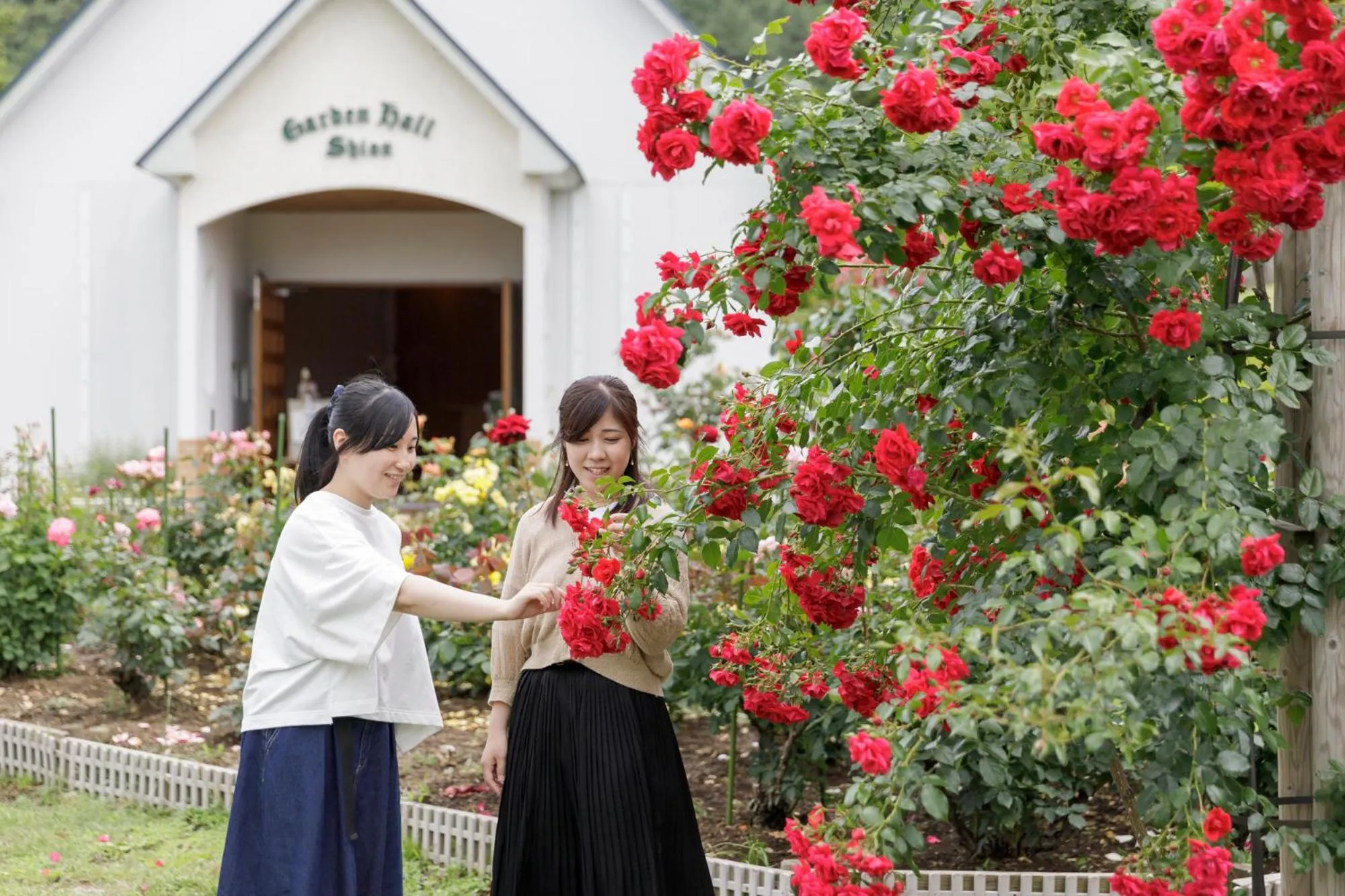 Garden in Hotel Shion