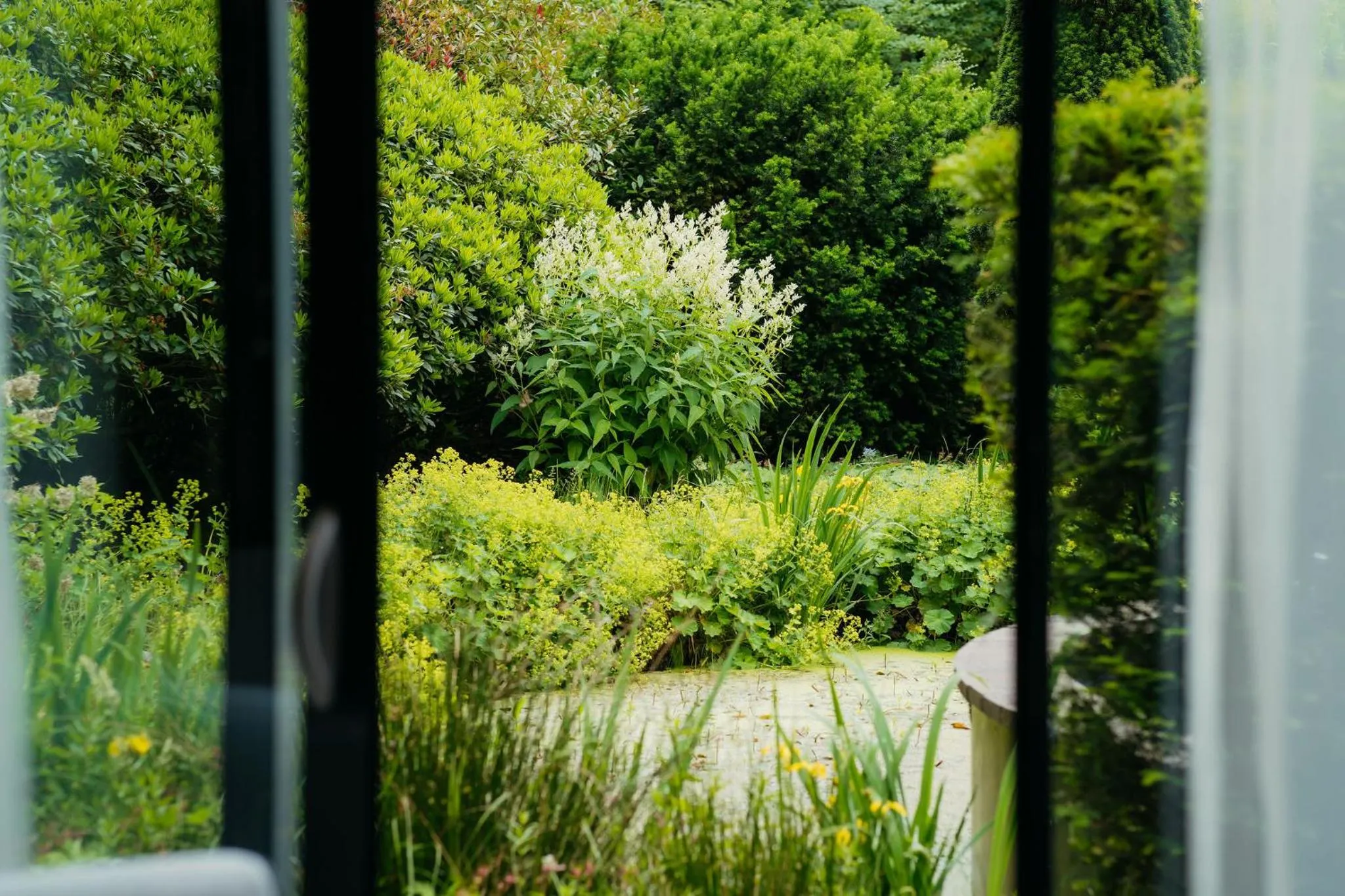 View (from property/room) in Hotel Gastronomique de Echoput