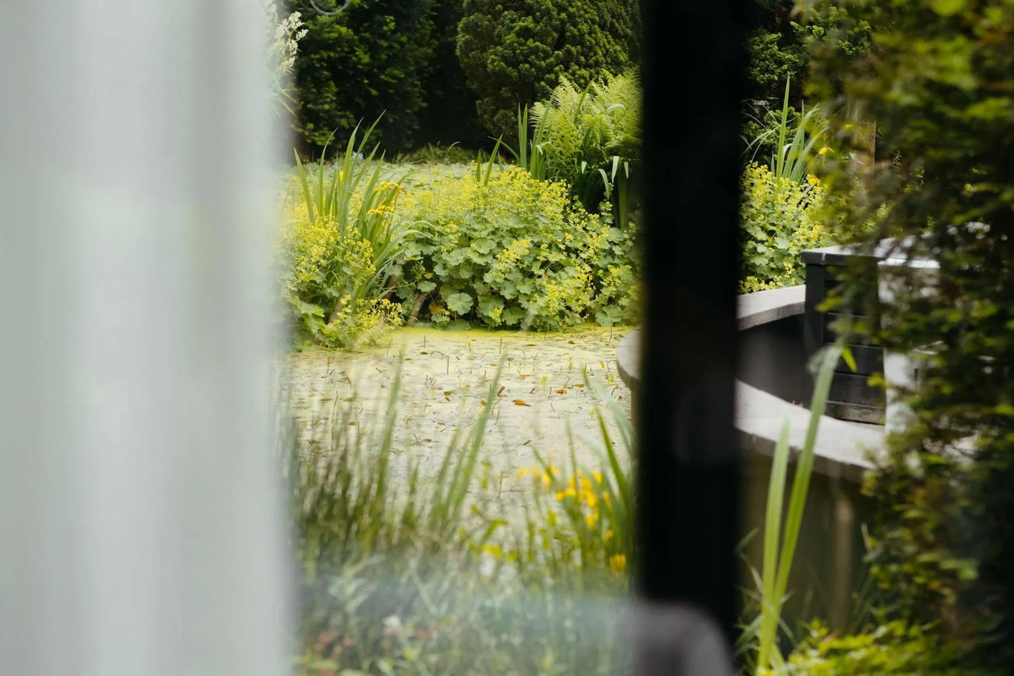 View (from property/room) in Hotel Gastronomique de Echoput