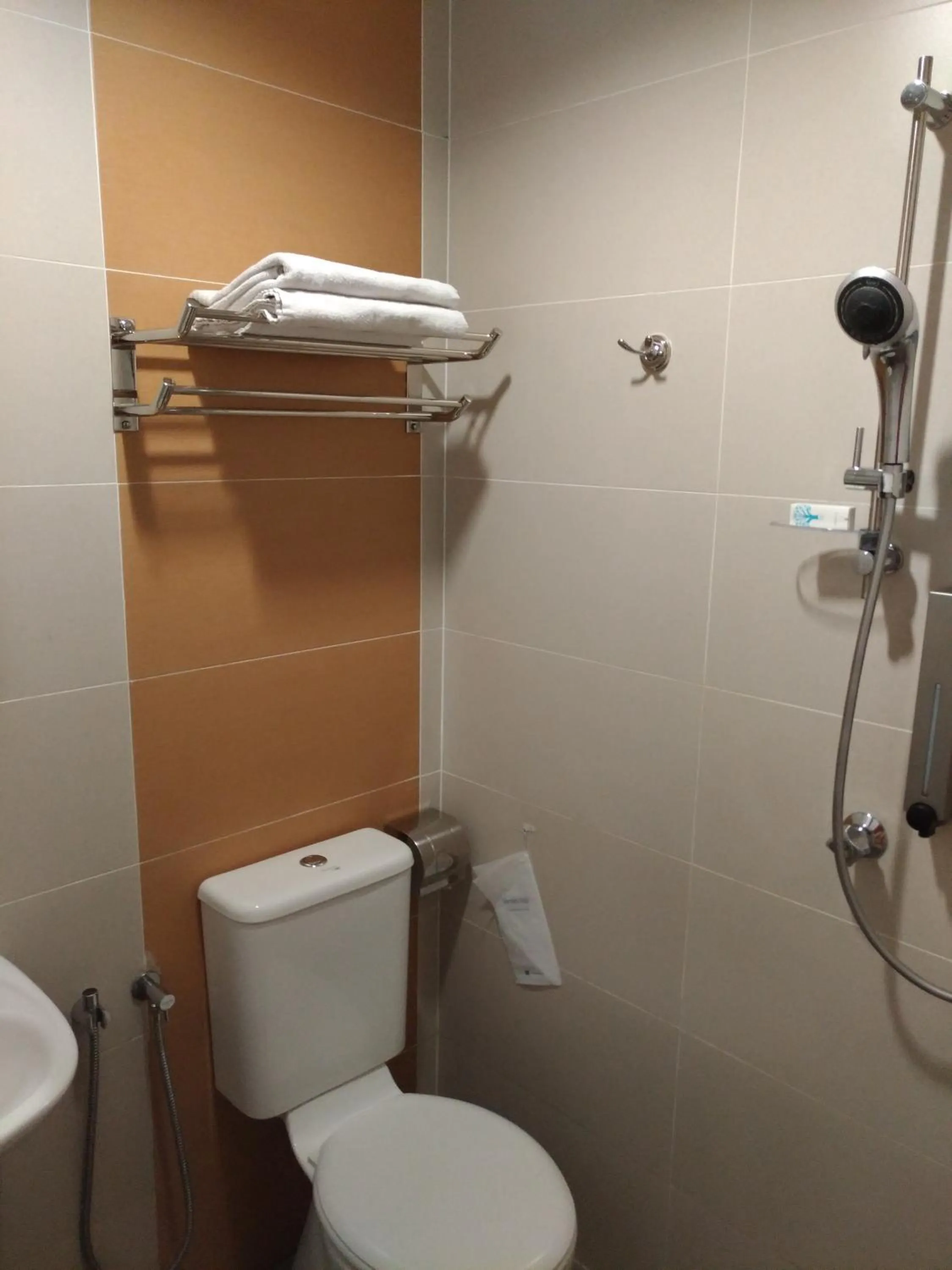 Shower in Hotel Strawberry Fields