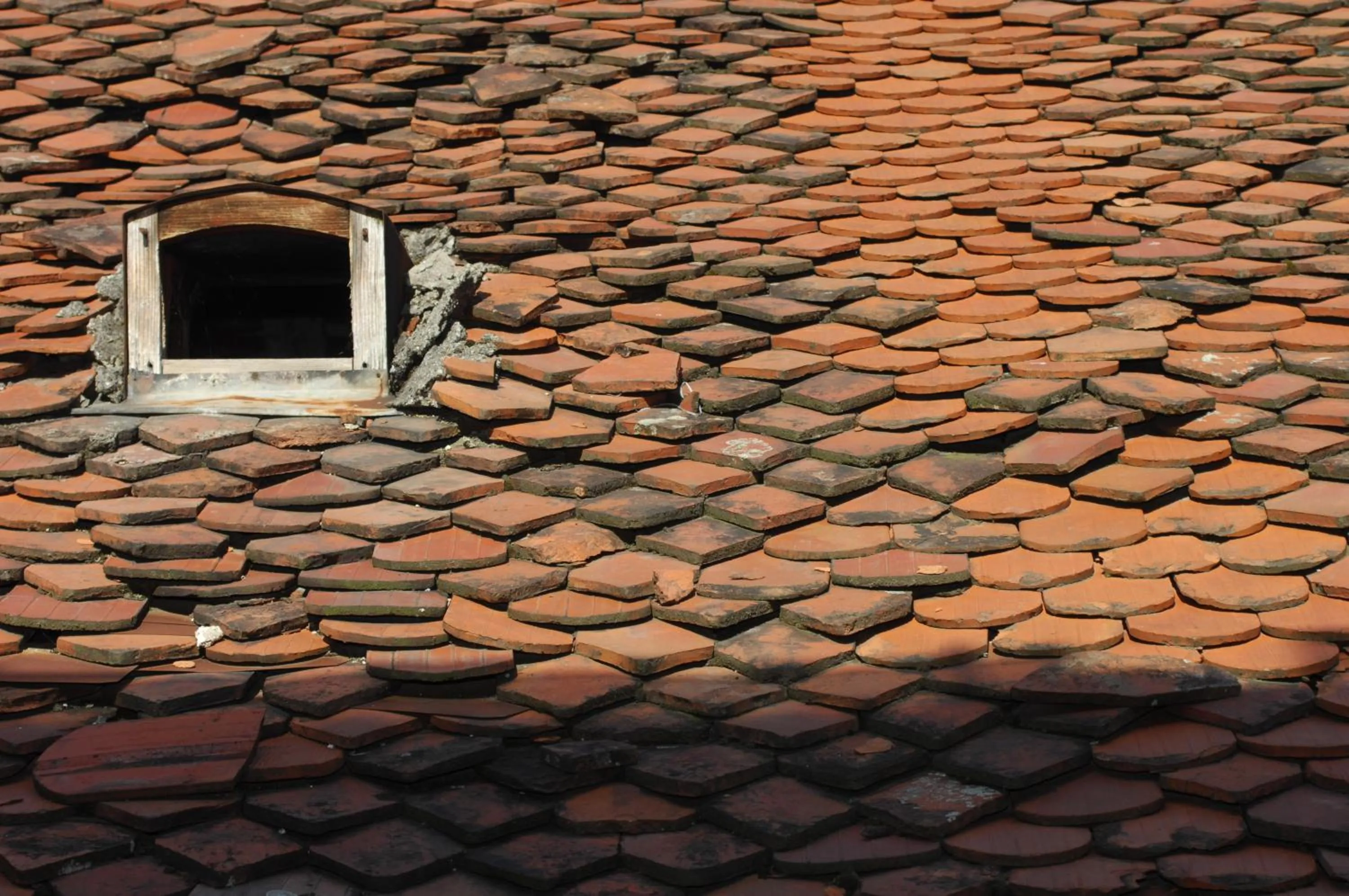 View (from property/room) in Main Square Apartments & More