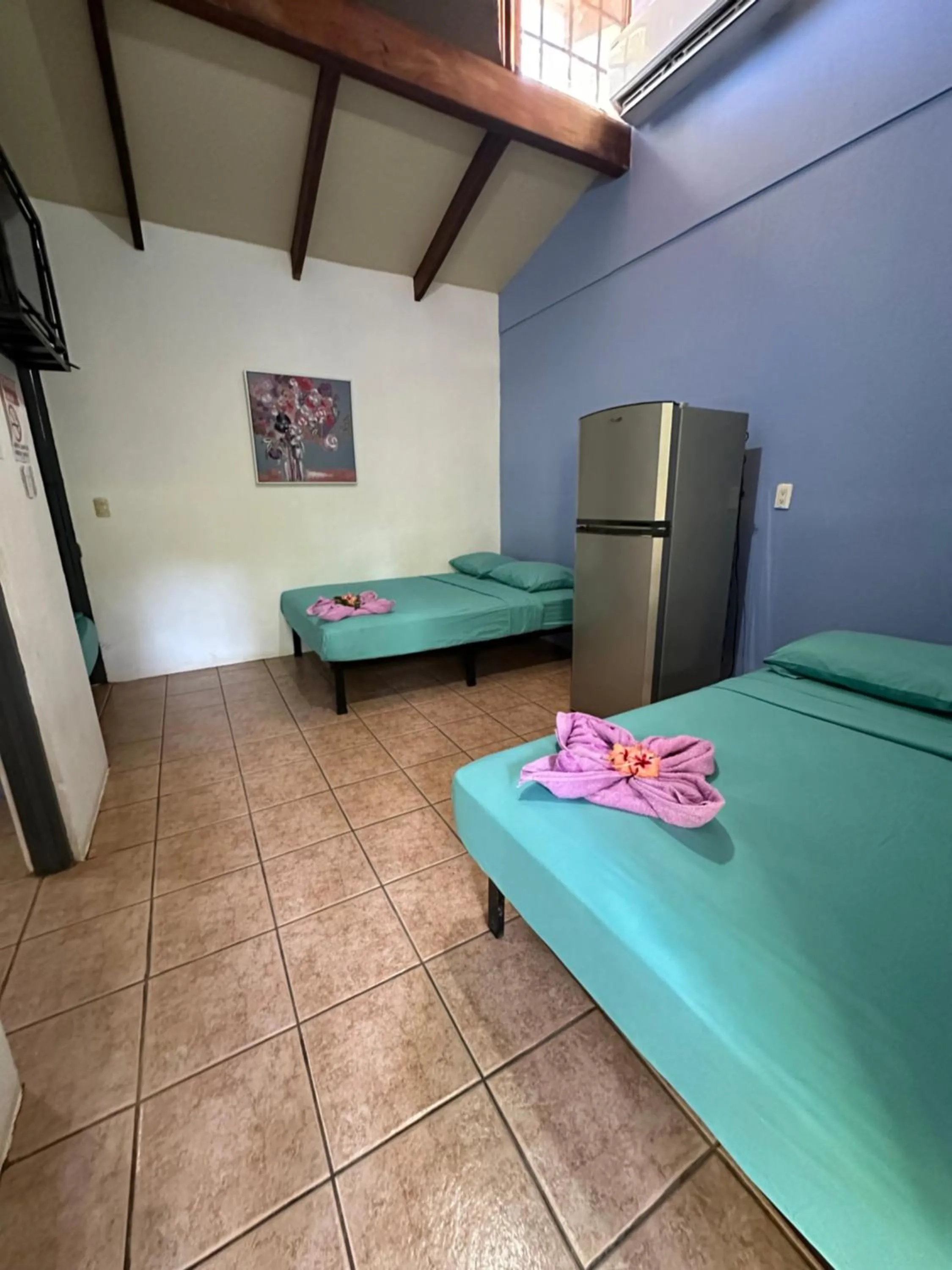 Photo of the whole room in Wide Mouth Frog Conchal