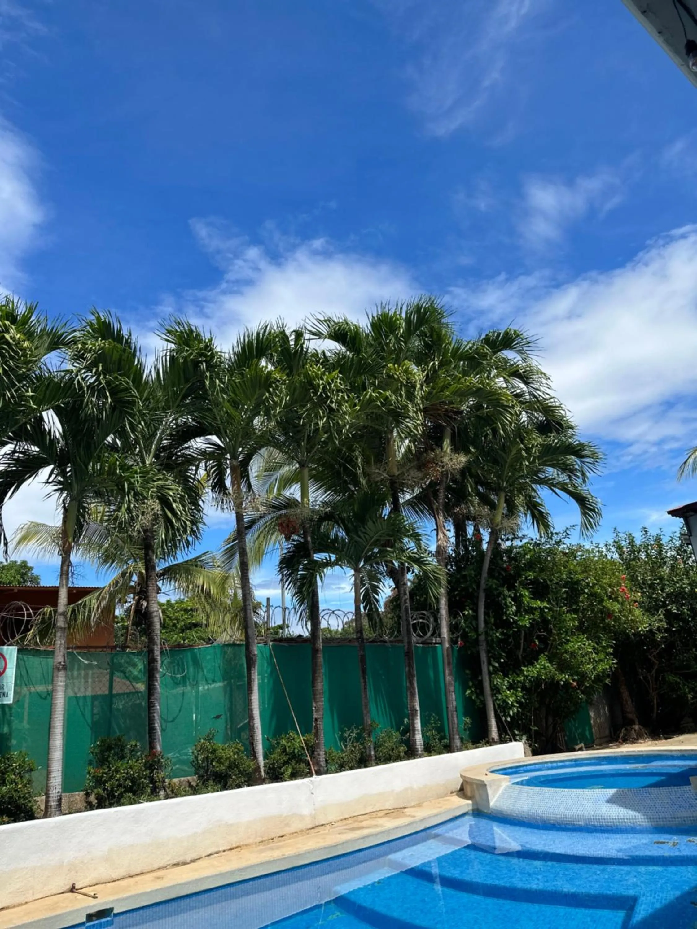 Swimming pool in Wide Mouth Frog Conchal