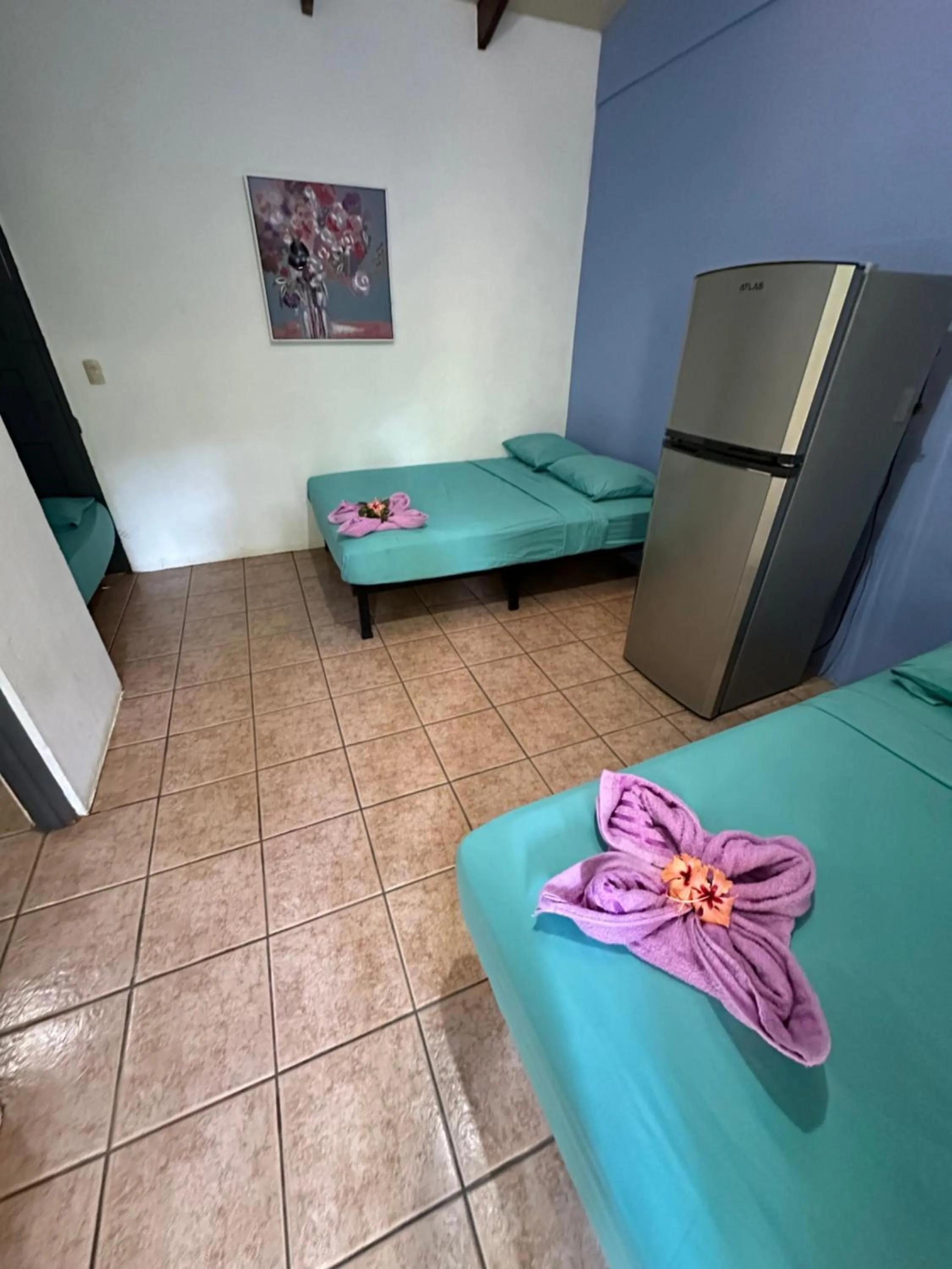 Photo of the whole room in Wide Mouth Frog Conchal