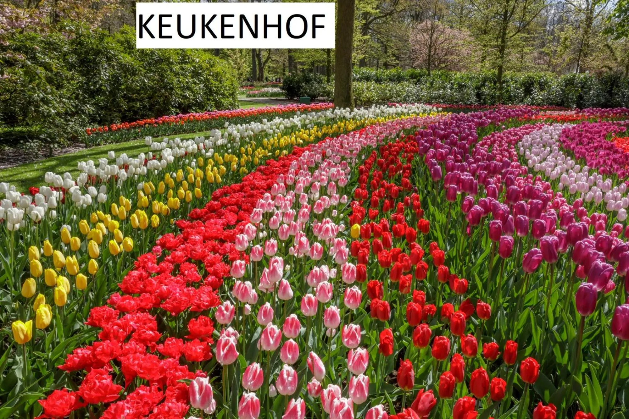 Activities in B & B Villa Suisse