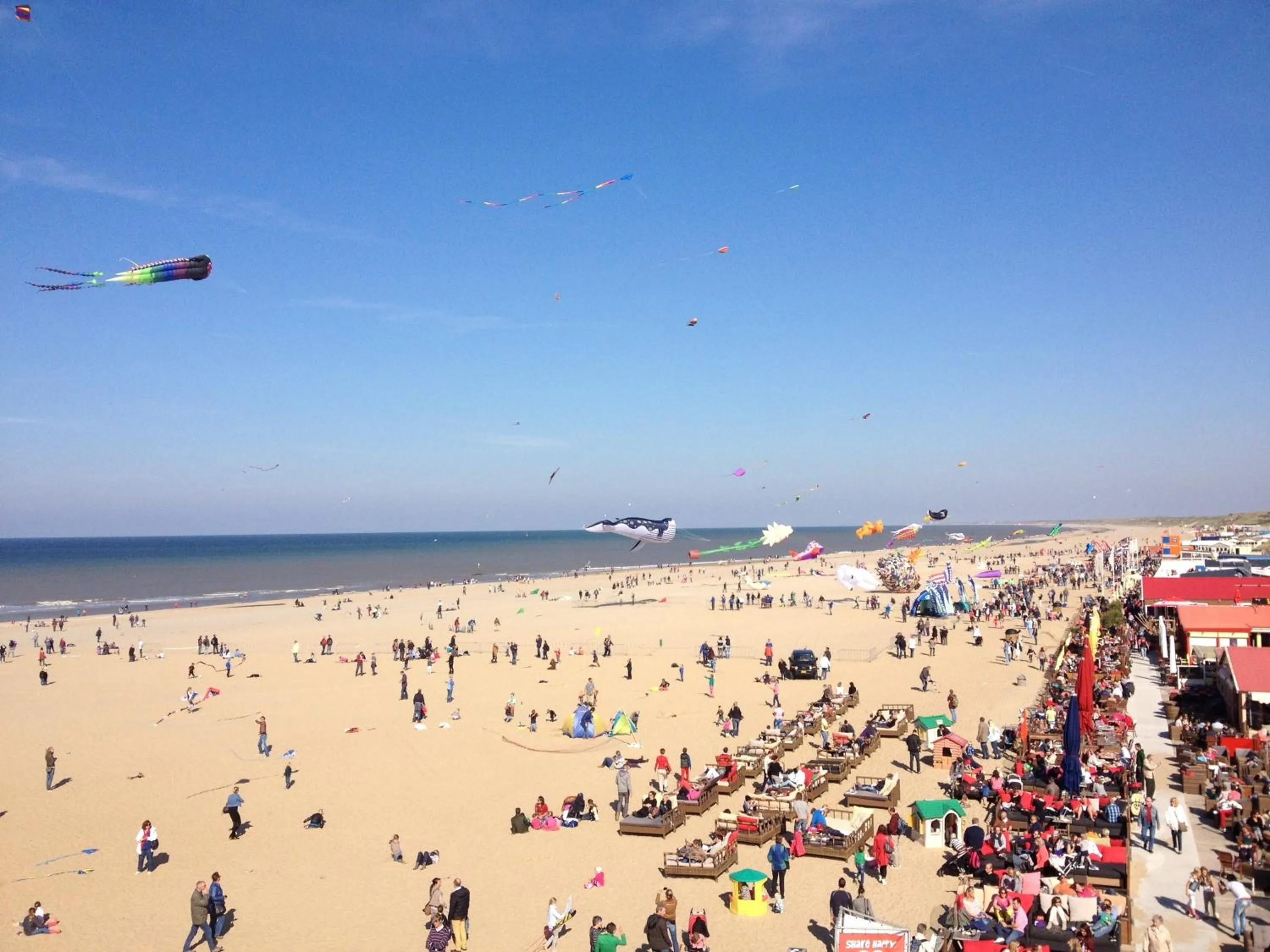 Beach in B & B Villa Suisse