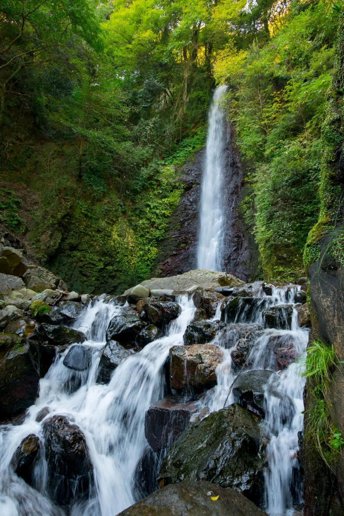 Natural landscape in Takimotokan Yuki No Sato