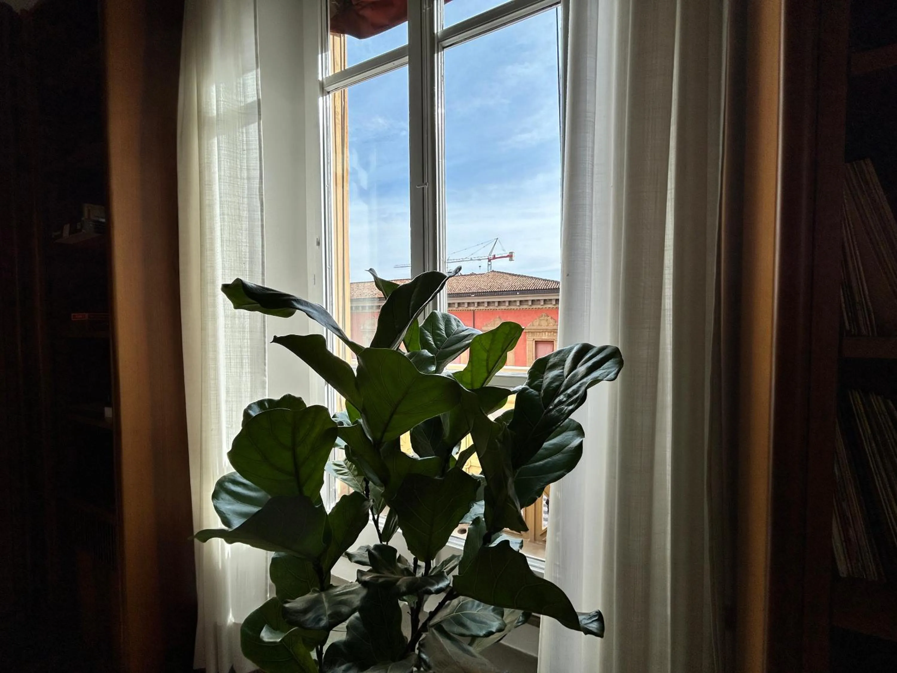 View (from property/room) in Frame Bologna