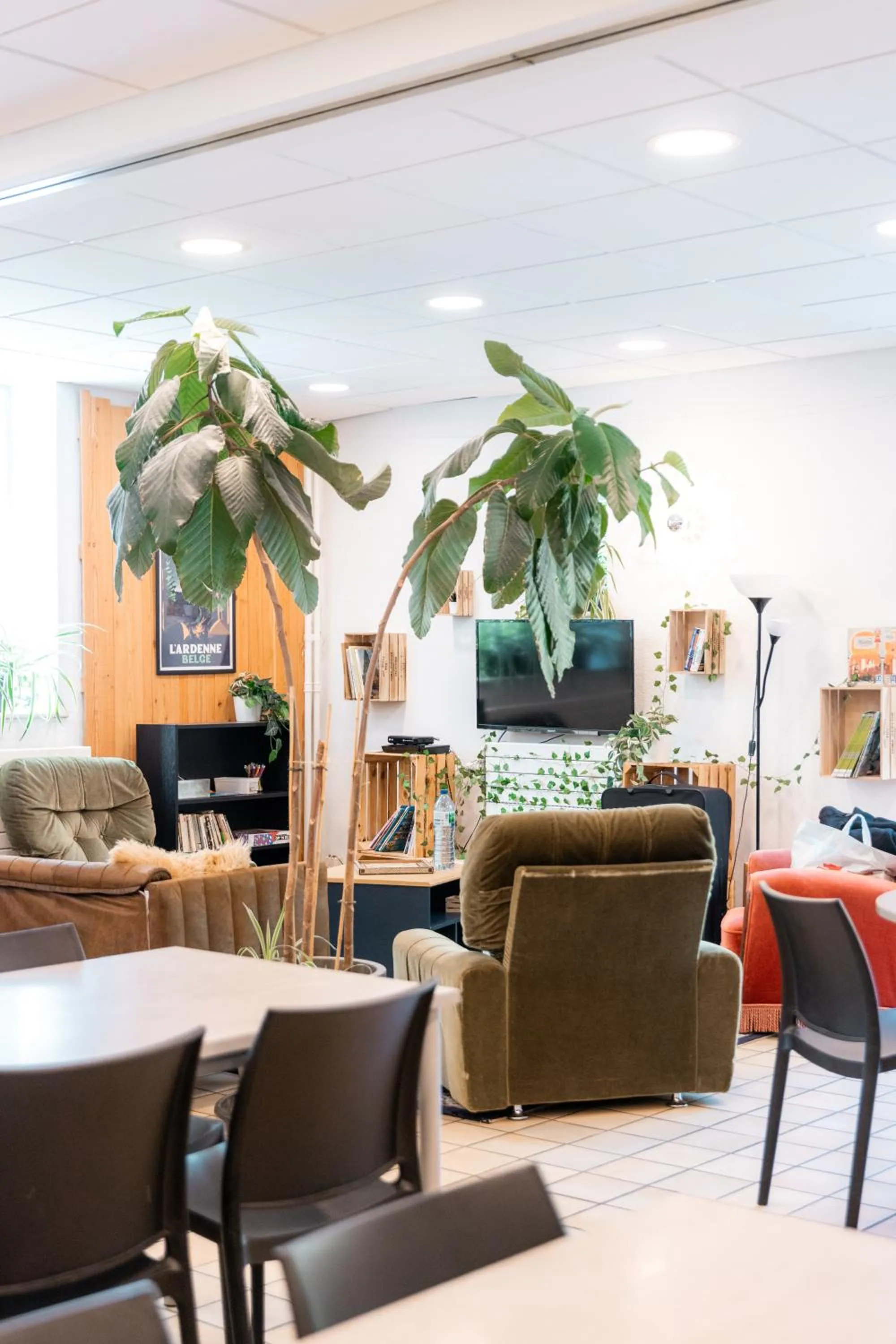 Communal lounge/ TV room in Auberge de Jeunesse de La Roche - Champlon