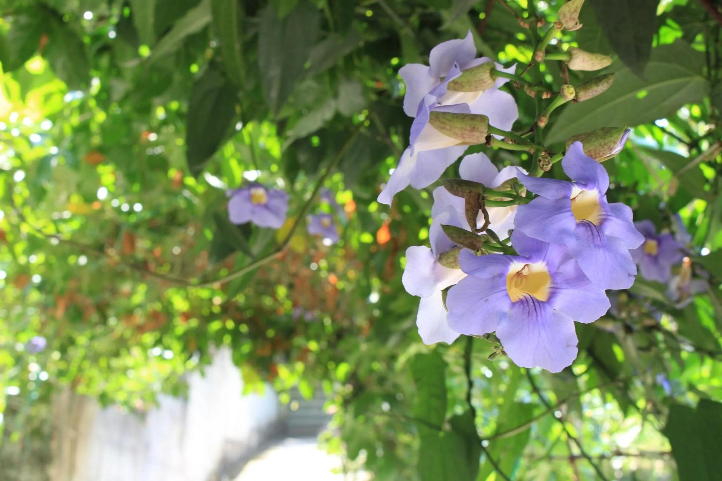 Property building in Green Ark Resorts